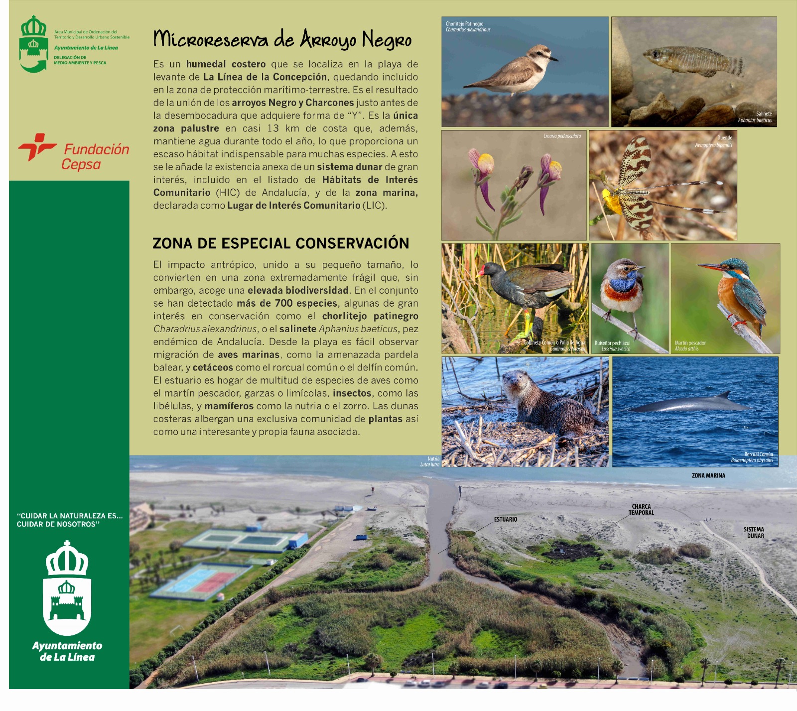 Excmo. Ayuntamiento de La Línea de la Concepción