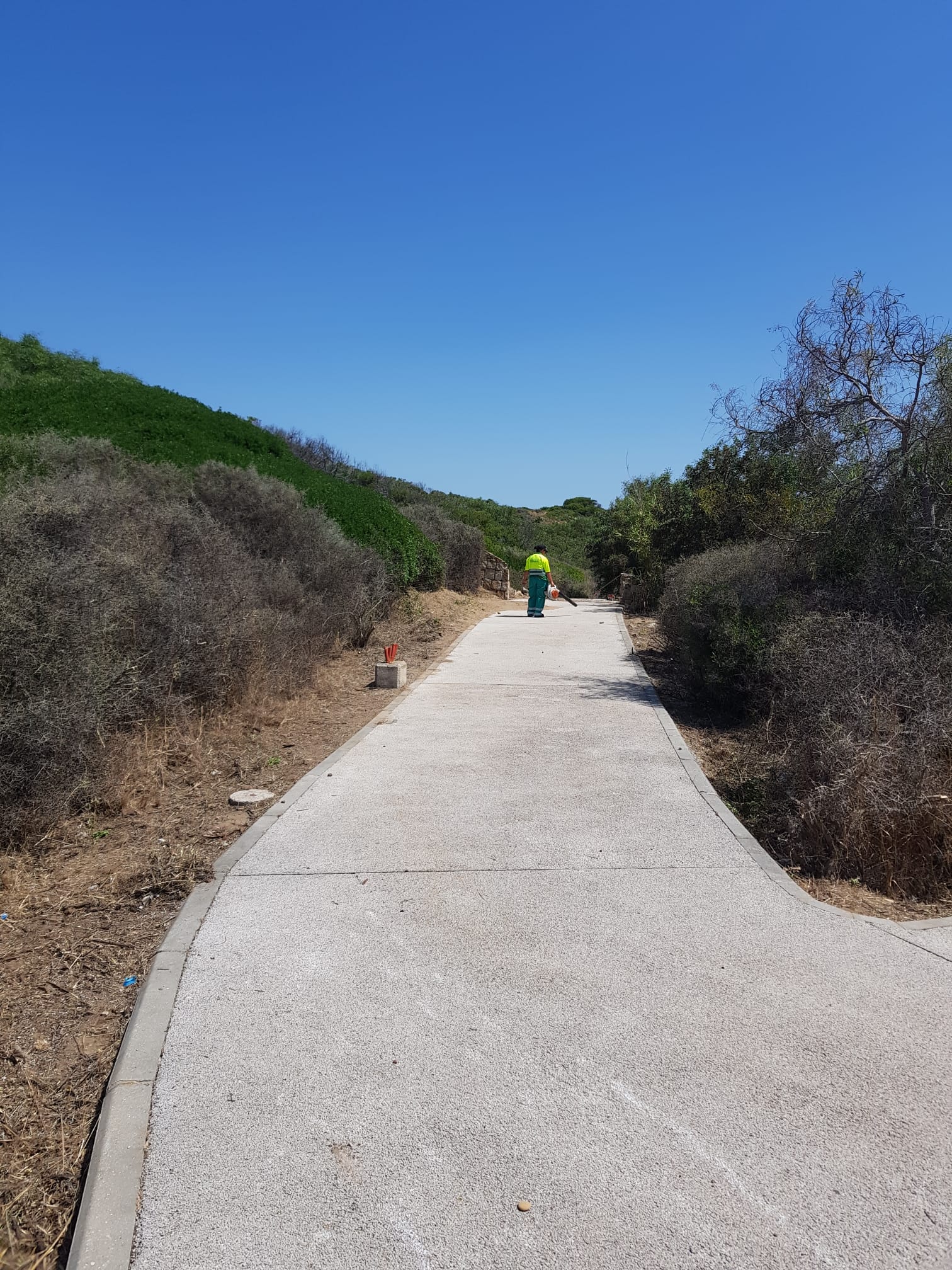 Parques y Jardines ejecuta trabajos de siembra, siega e instalación de nuevos sistemas de riego en distintos puntos de la ciudad