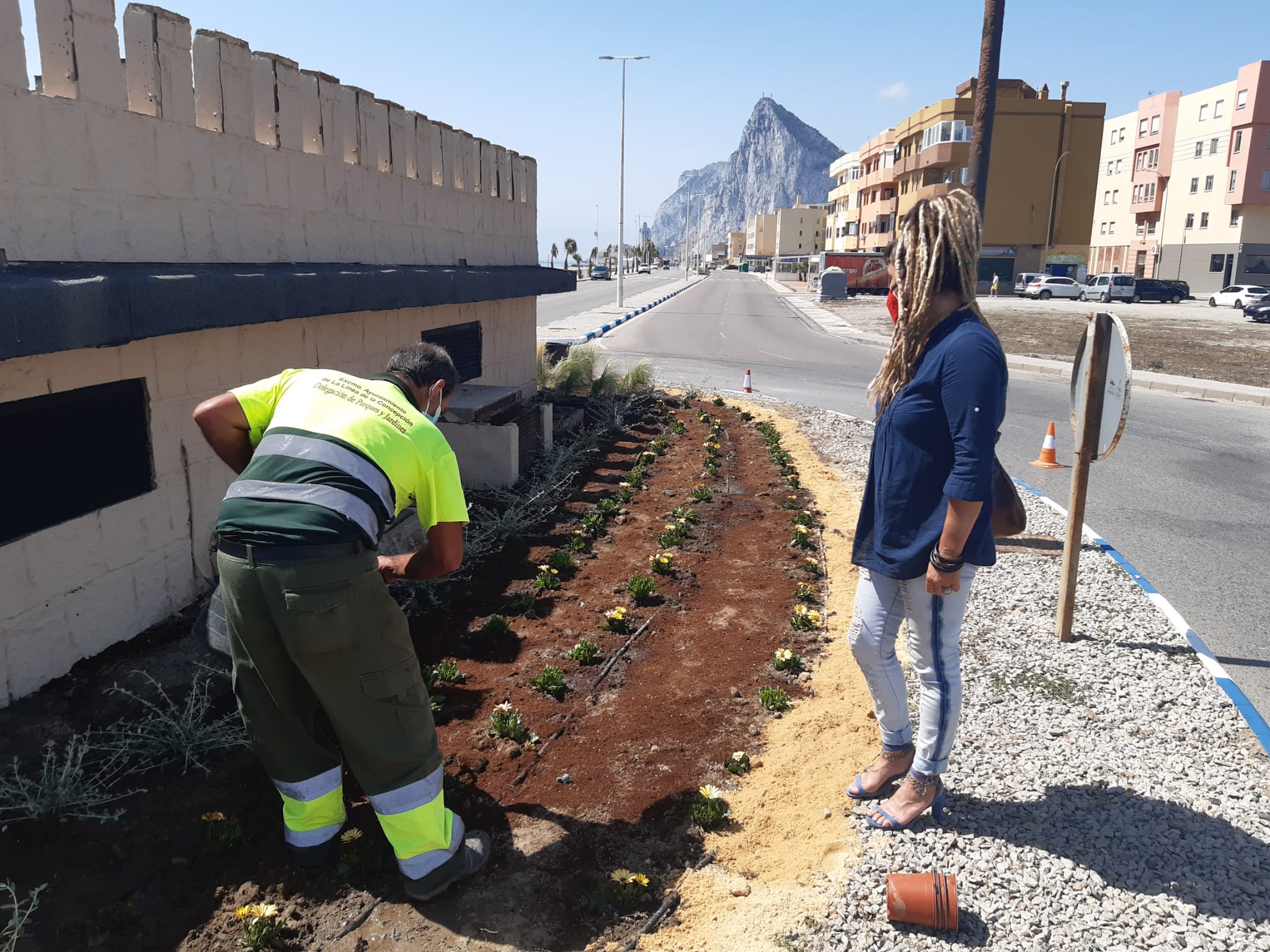 Parques y Jardines intensifica los trabajos en el paseo de Levante con limpieza de palmeras quemadas y replantación con riego en rotondas