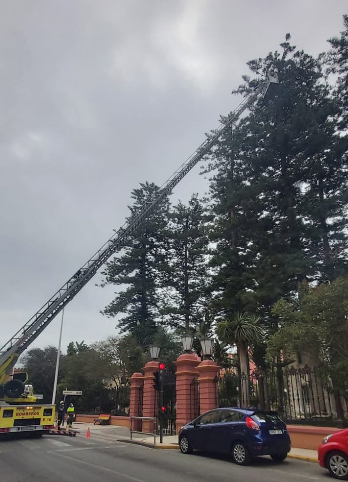 Excmo. Ayuntamiento de La Línea de la Concepción