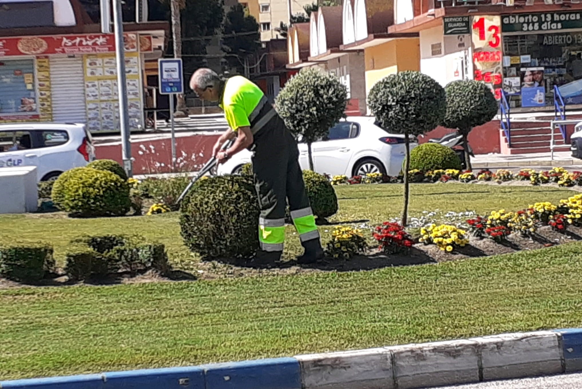 Parques y Jardines planta 800 especies florales y arbustivas