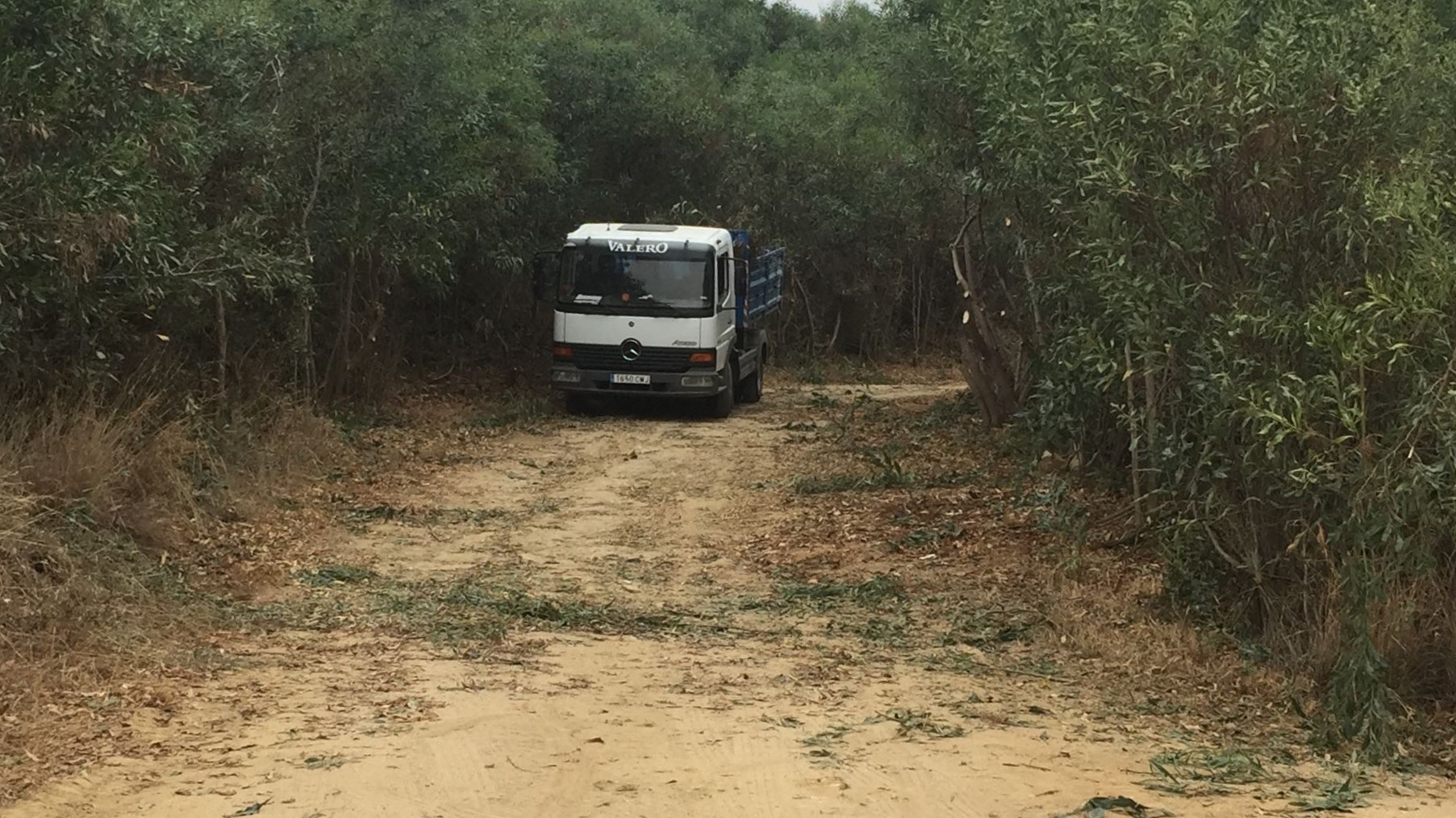 Playas acomete trabajos para facilitar los accesos rodados a las zonas de litoral