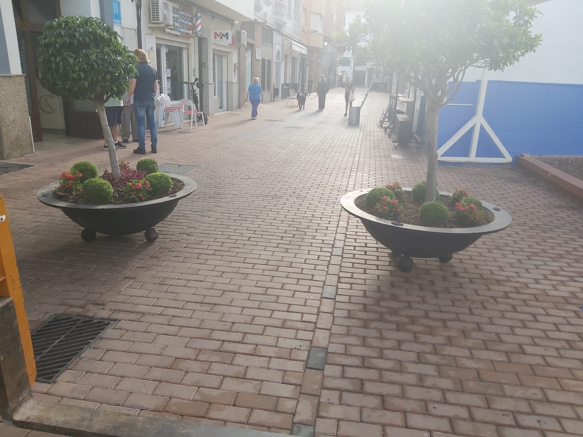 Movilidad Urbana refuerza con maceteros varias zonas peatonales