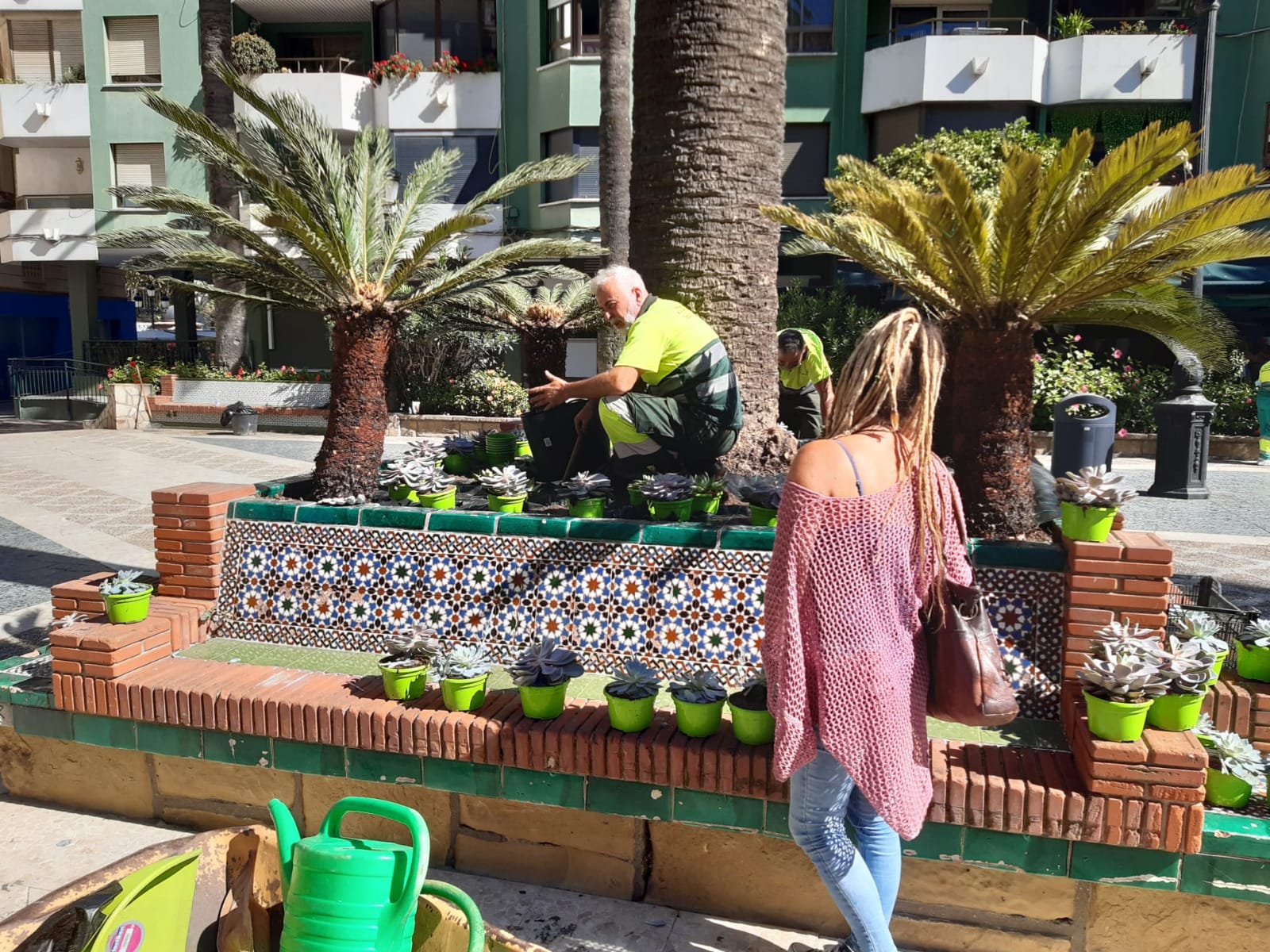 Parques y Jardines denuncia nuevos actos vandálicos con el arranque de cinco árboles en la calle Real