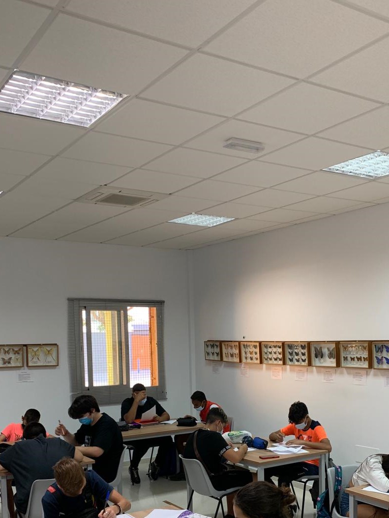 Asuntos Sociales inicia por octavo año consecutivo el Aula de Refuerzo Educativo