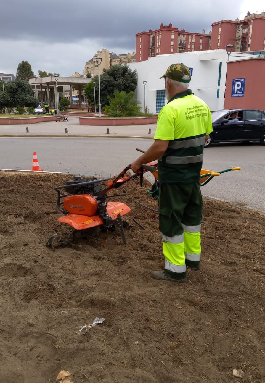 Parques y Jardines acomete la reforma de toda la jardinería de las rotondas de la avenida del Ejército