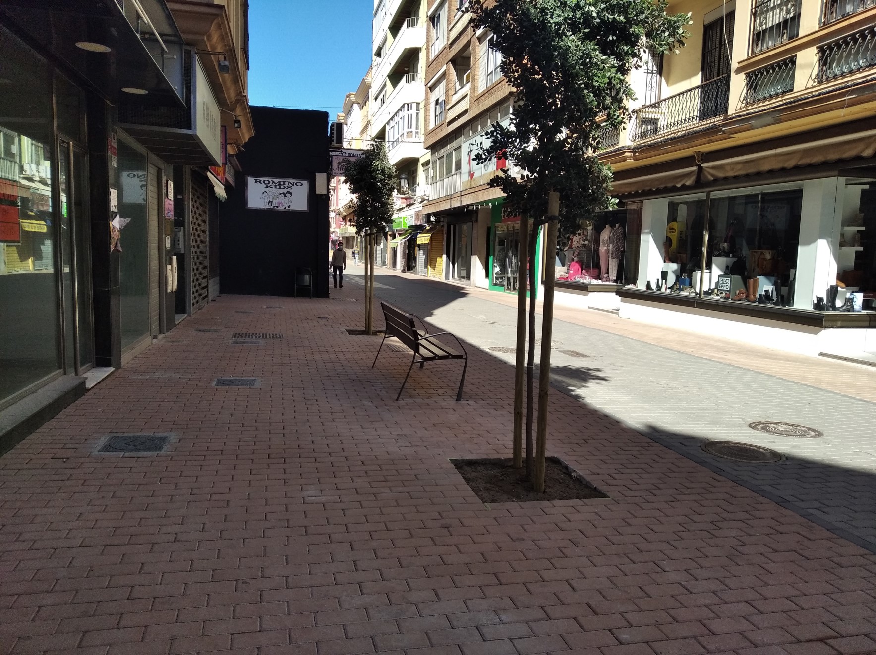 Los Planes de Arbolado 2020/21 permitieron la plantación de 836 árboles y 1842 arbustos por distintas zonas de la ciudad