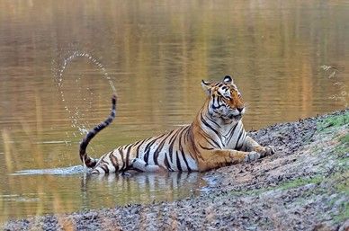 Turismo de Madhya Pradesh mostrará la India más auténtica en FITUR 2022