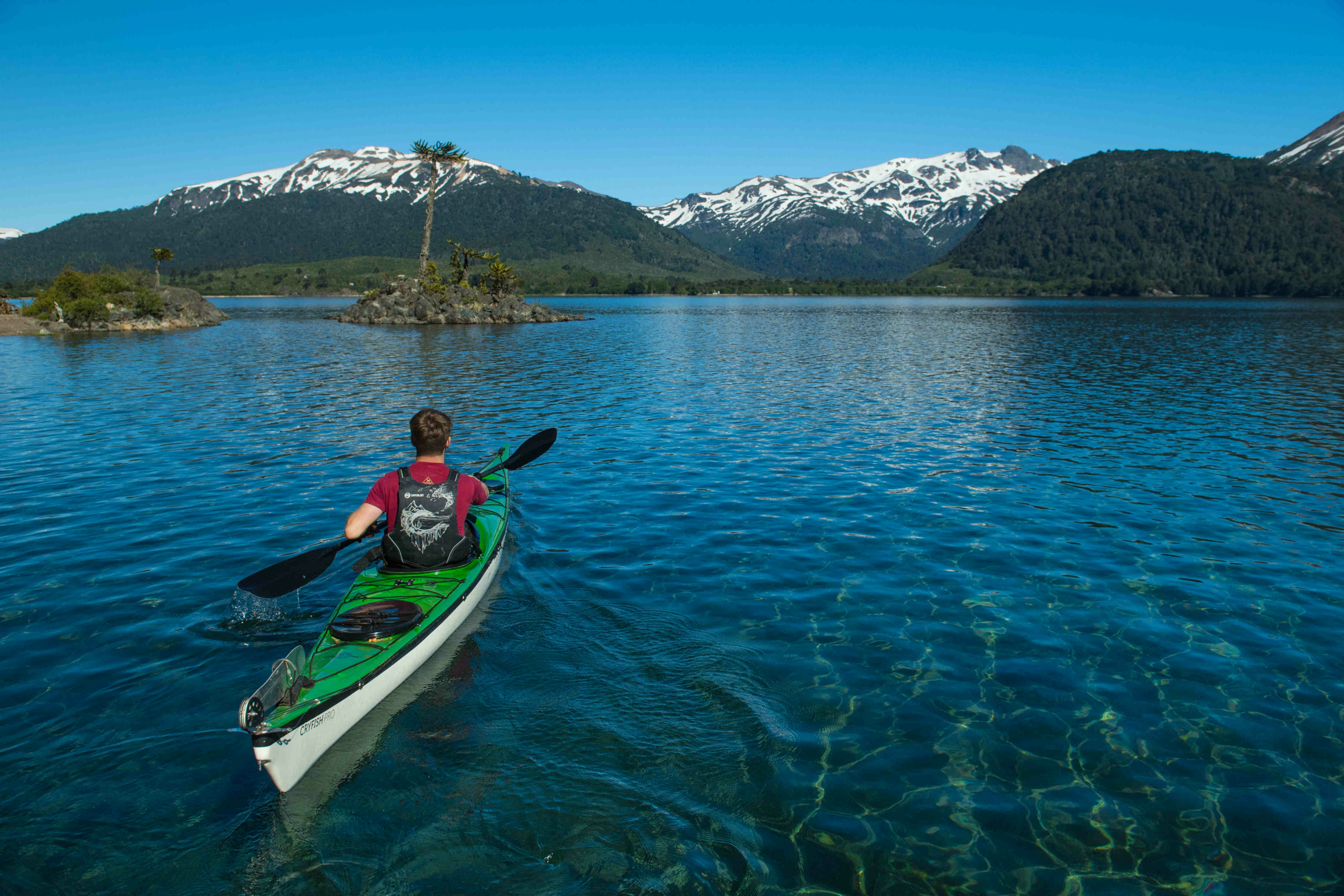 La Ruta de las Araucarias Milenarias: una experiencia de ensueño en los Andes