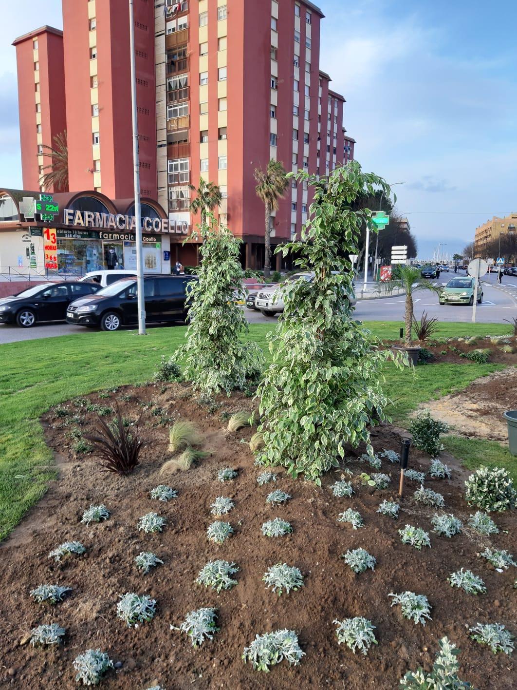 Parques y Jardines finaliza la siembra de la glorieta Carlos III e inicia los trabajos del Plan de Arbolado de este año