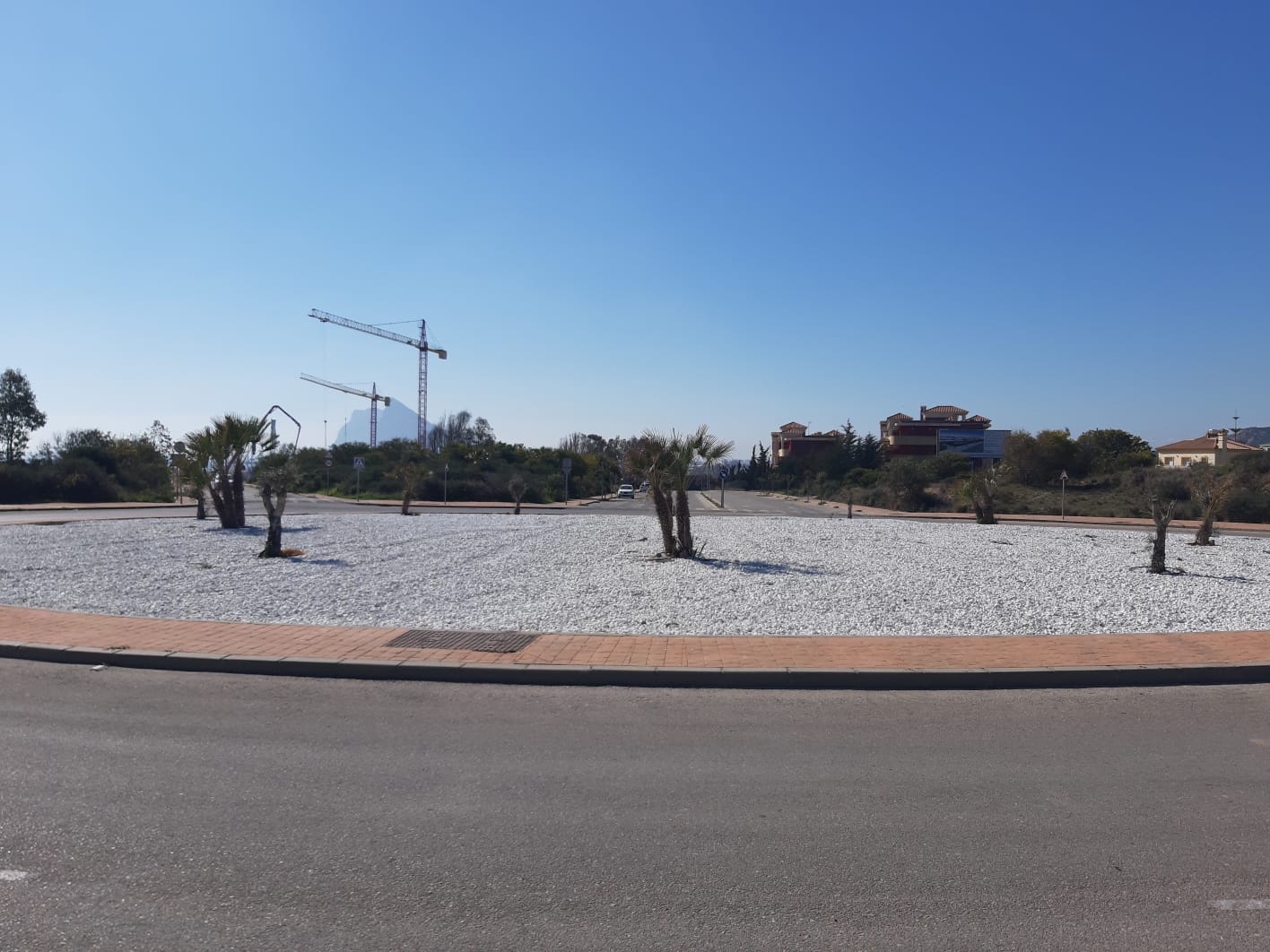 Parques y Jardines restringirá el riego en las zonas verdes debido a la sequía