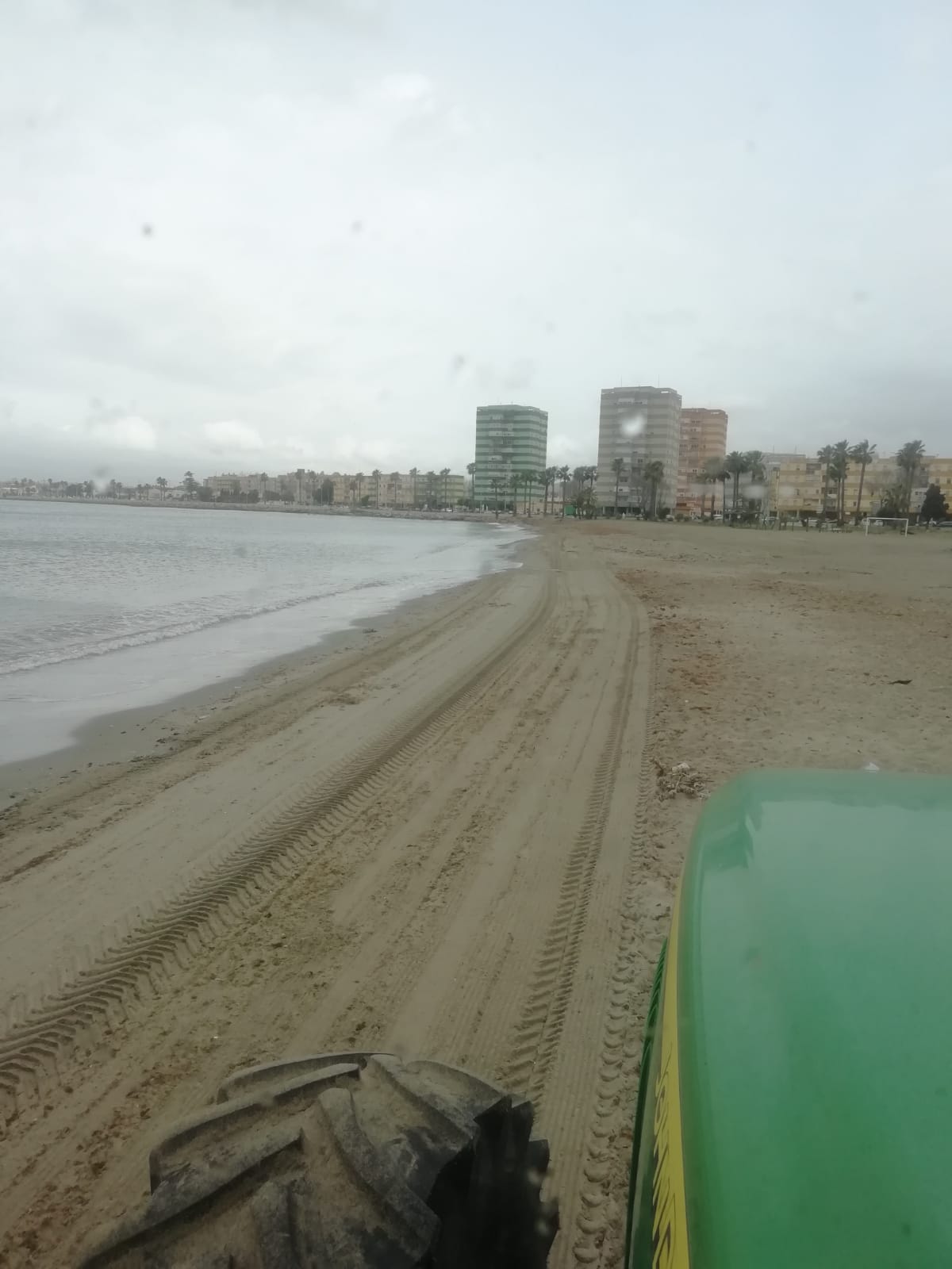 Retirados más de 10.000 kilos de algas de la playa de Poniente
