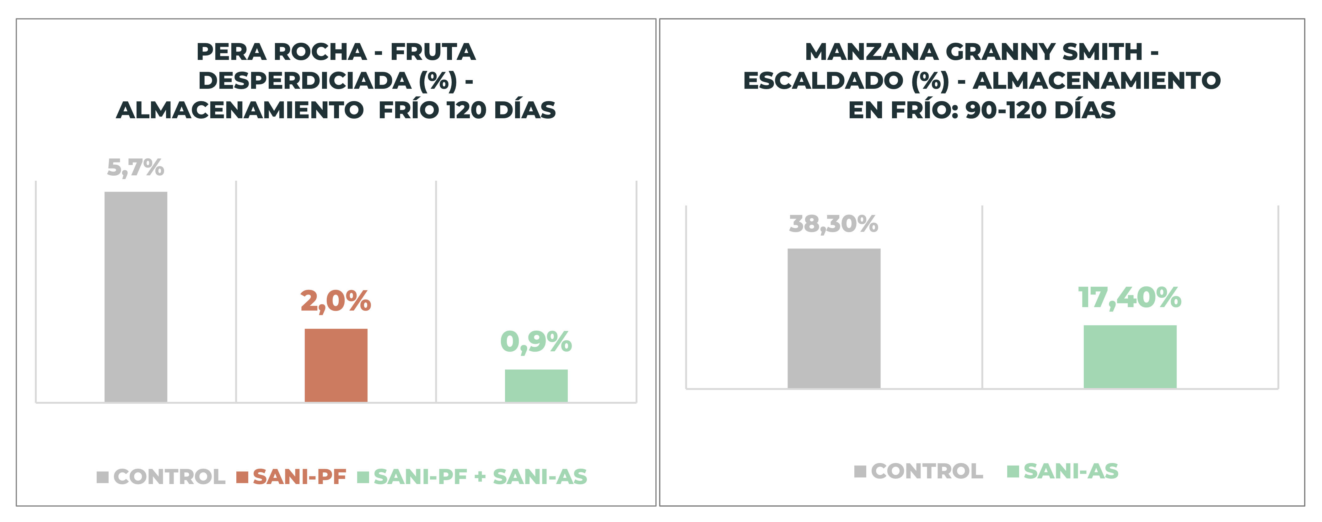 Sanifruit desarrolla una nueva solución postcosecha sin residuos y eficaz para pera y manzana