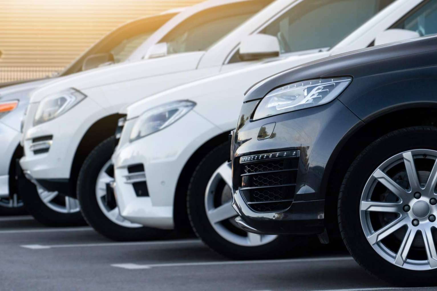 Un amplio catálogo de vehículos SUV disponible en M10selection