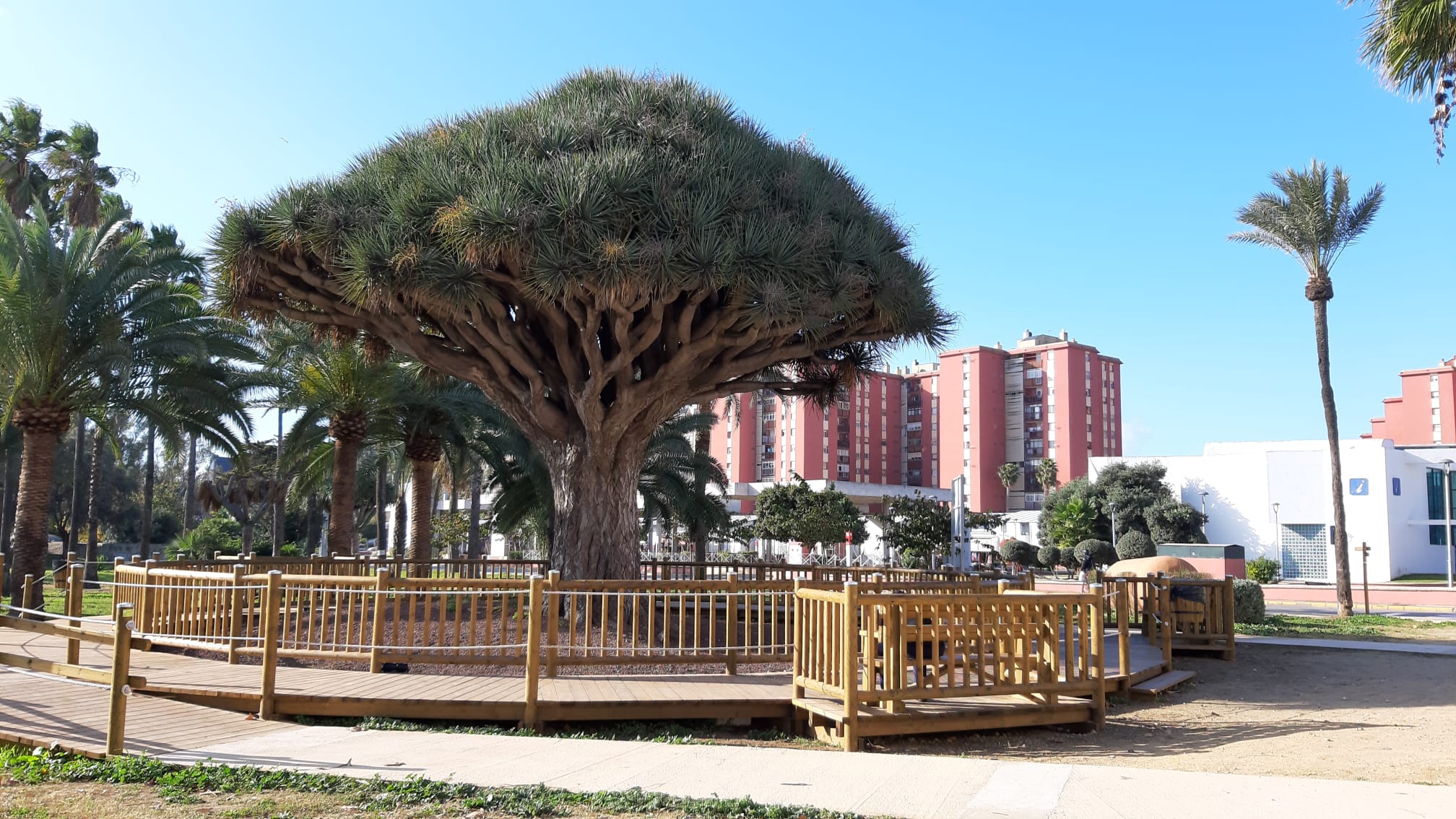 Excmo. Ayuntamiento de La Línea de la Concepción