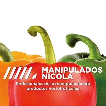 MANIPULADOS NICOLA manté el seu creixement i reafirma la col·laboració amb la consultoria d'empreses CEDEC