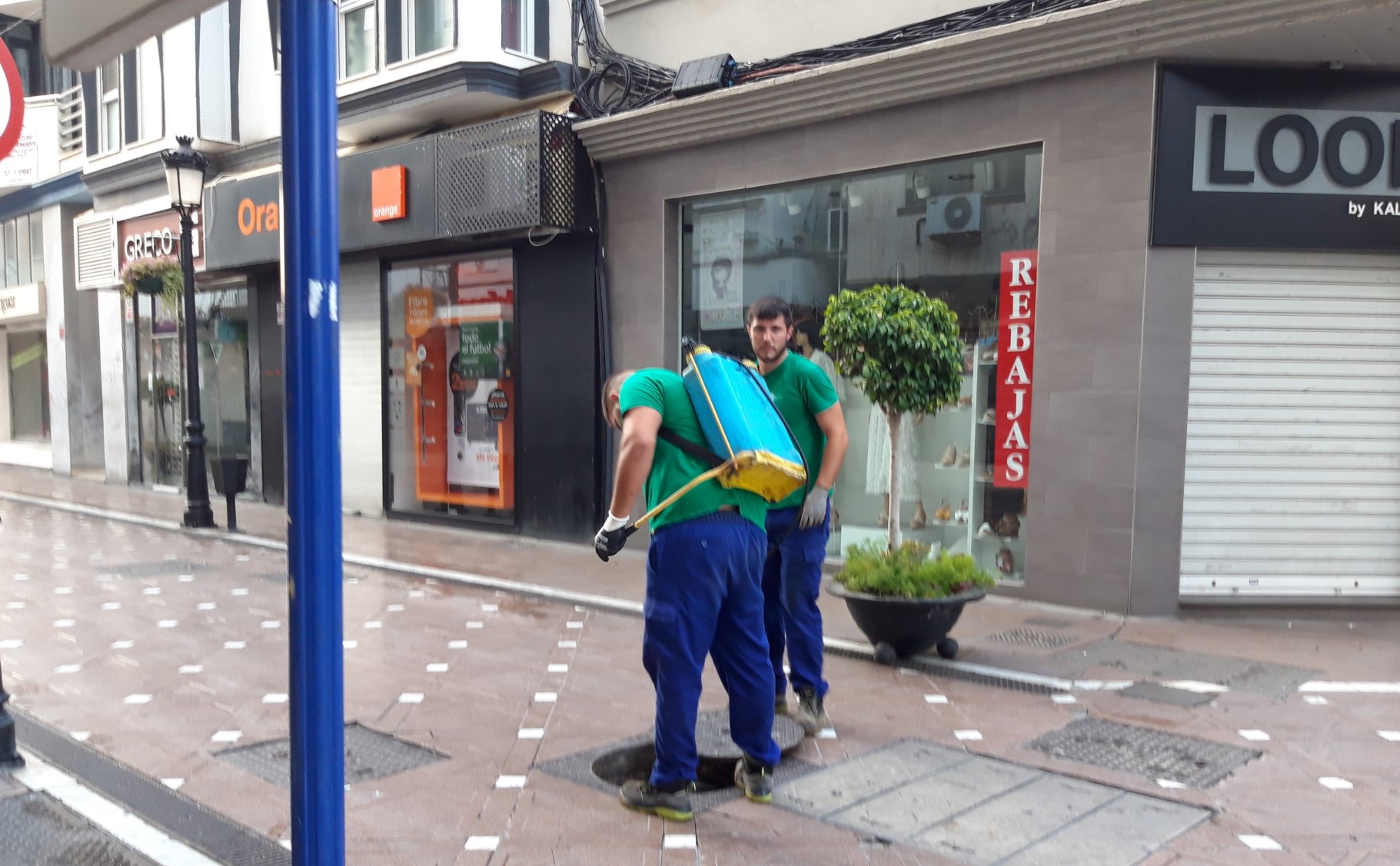 El próximo miércoles se llevará a cabo una campaña de desinsectación de la zona centro de la ciudad