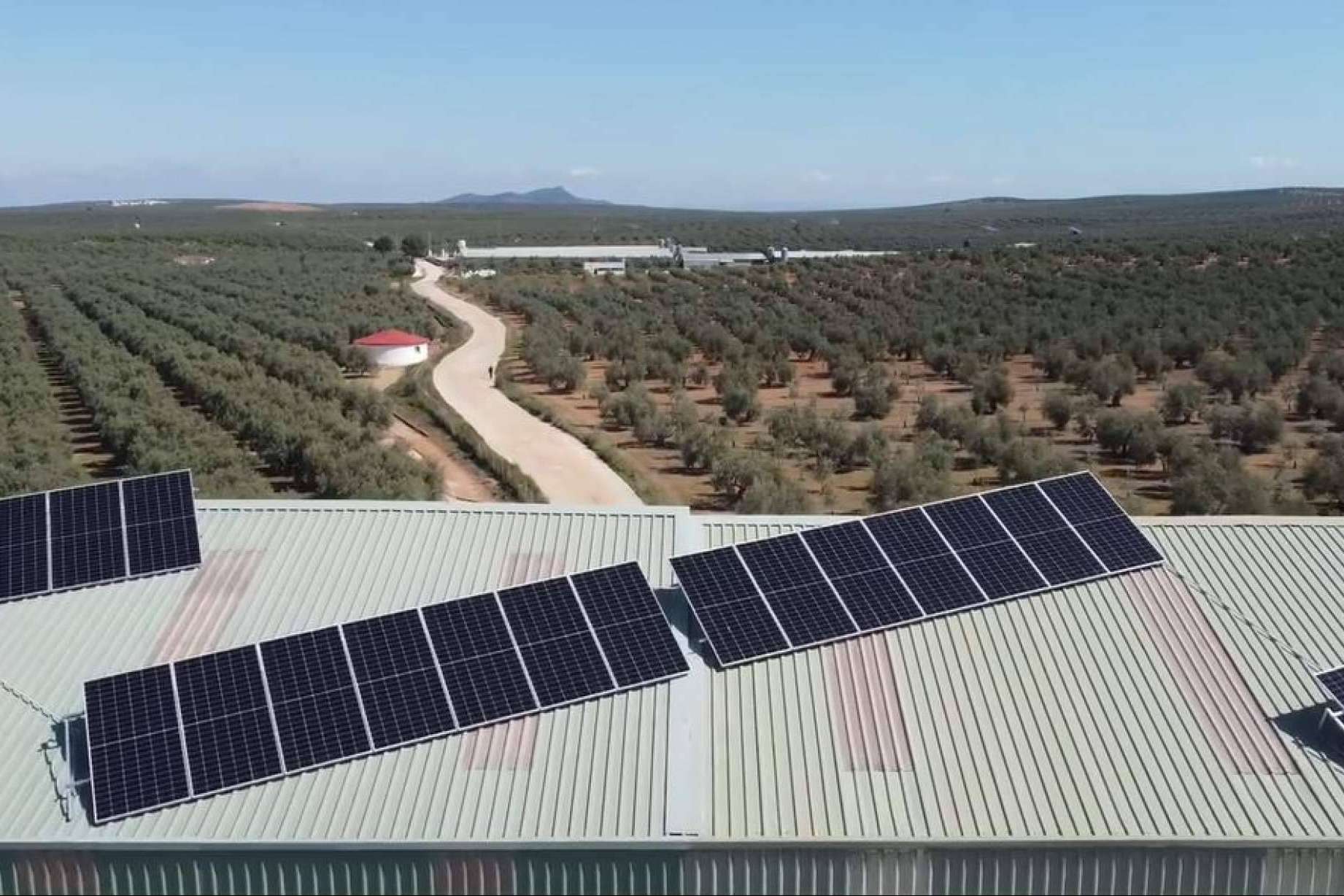 TodoAgrícola presenta los beneficios de contar con energía de autoconsumo en empresas