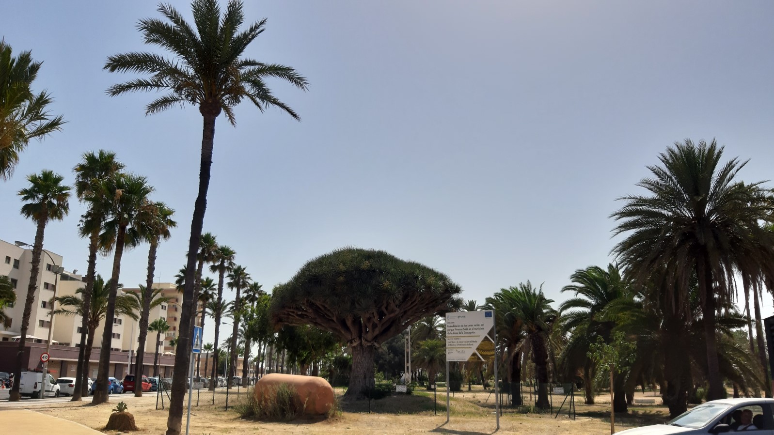 Excmo. Ayuntamiento de La Línea de la Concepción