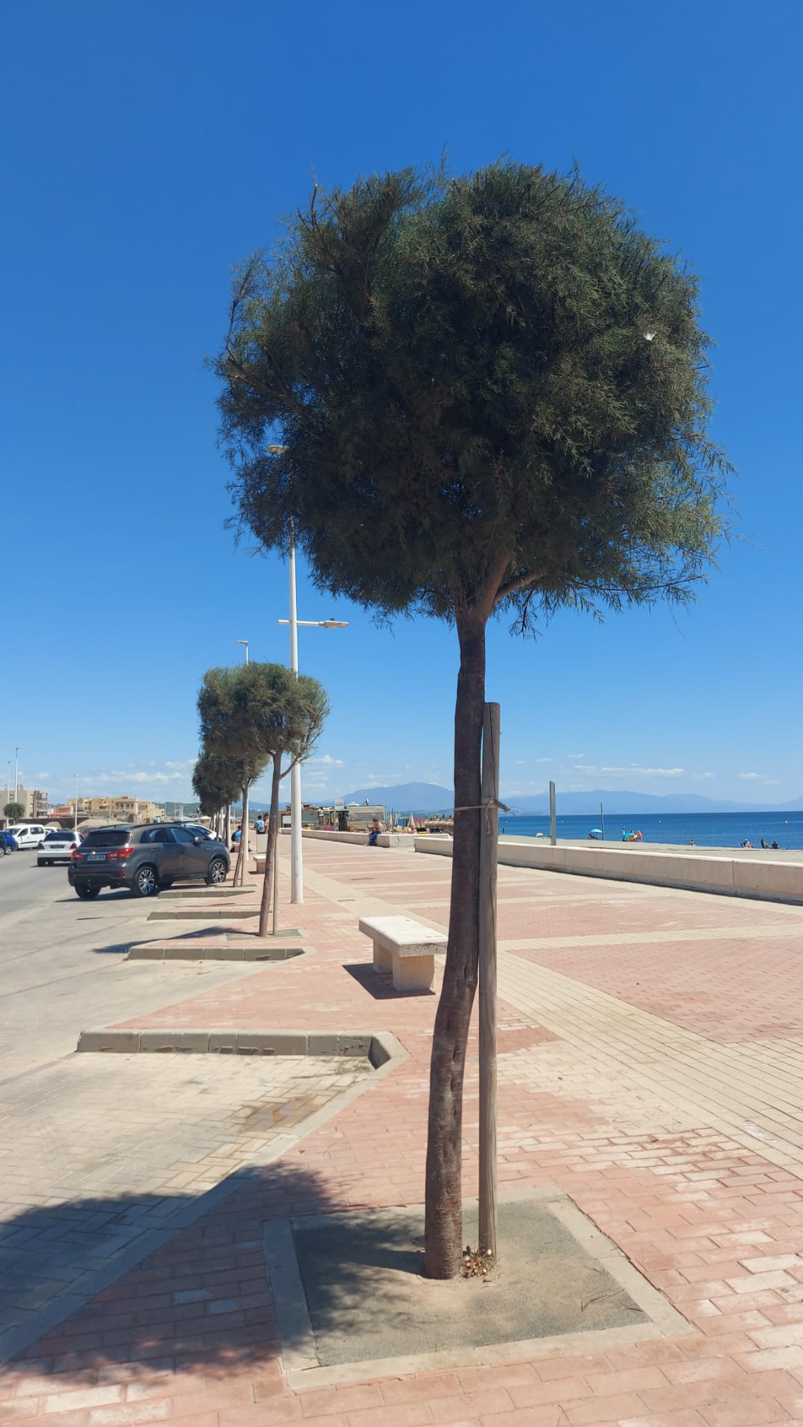 Excmo. Ayuntamiento de La Línea de la Concepción