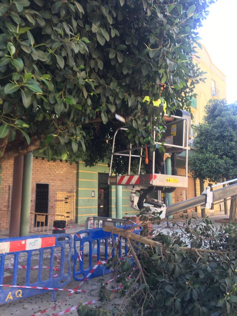 Excmo. Ayuntamiento de La Línea de la Concepción