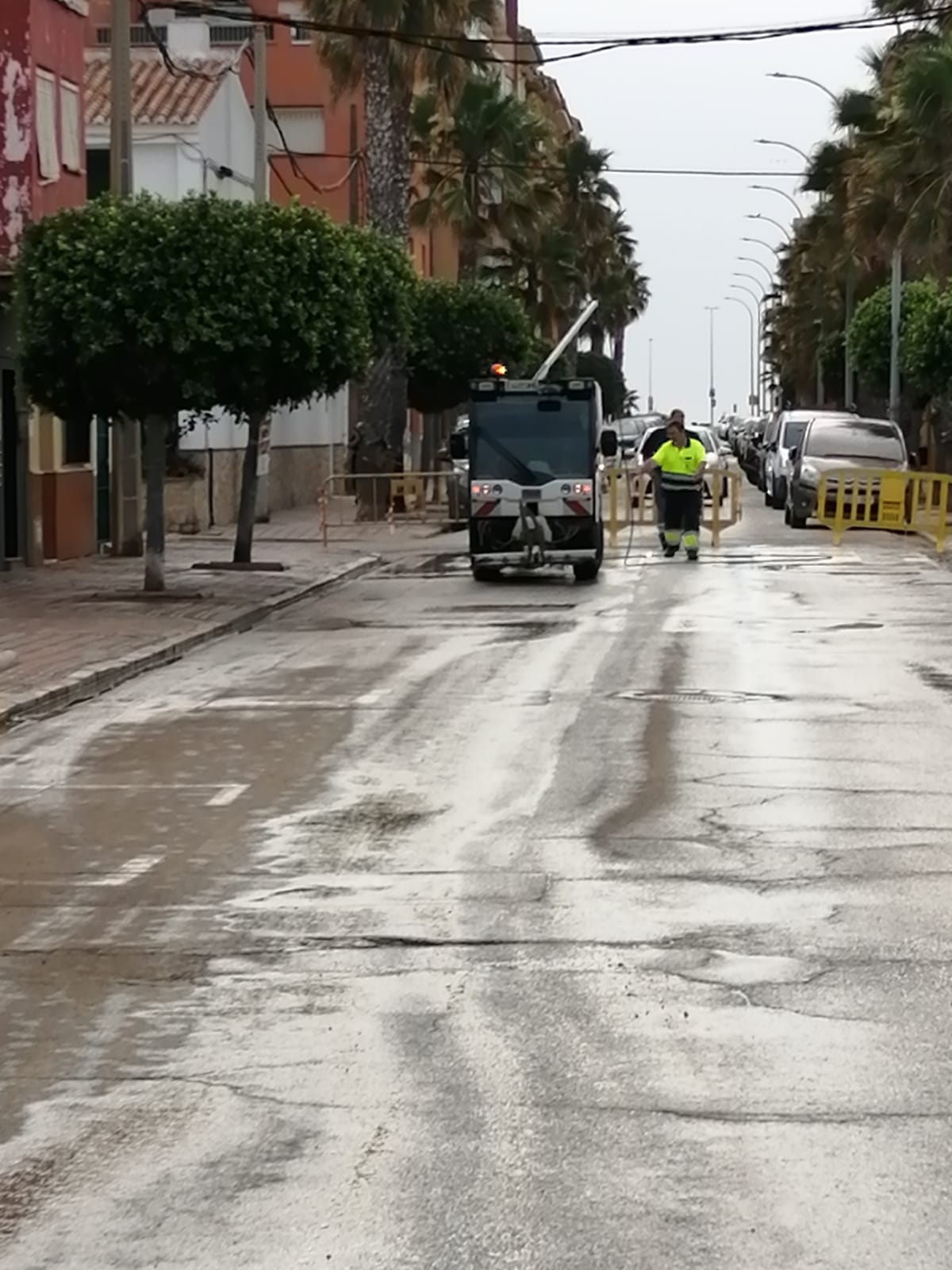 El Ayuntamiento desarrolla un dispositivo especial de limpieza en la Avenida de la Banqueta