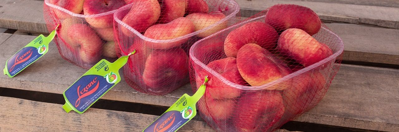 El mayorista de fruta fresca, según Frutas Lozano