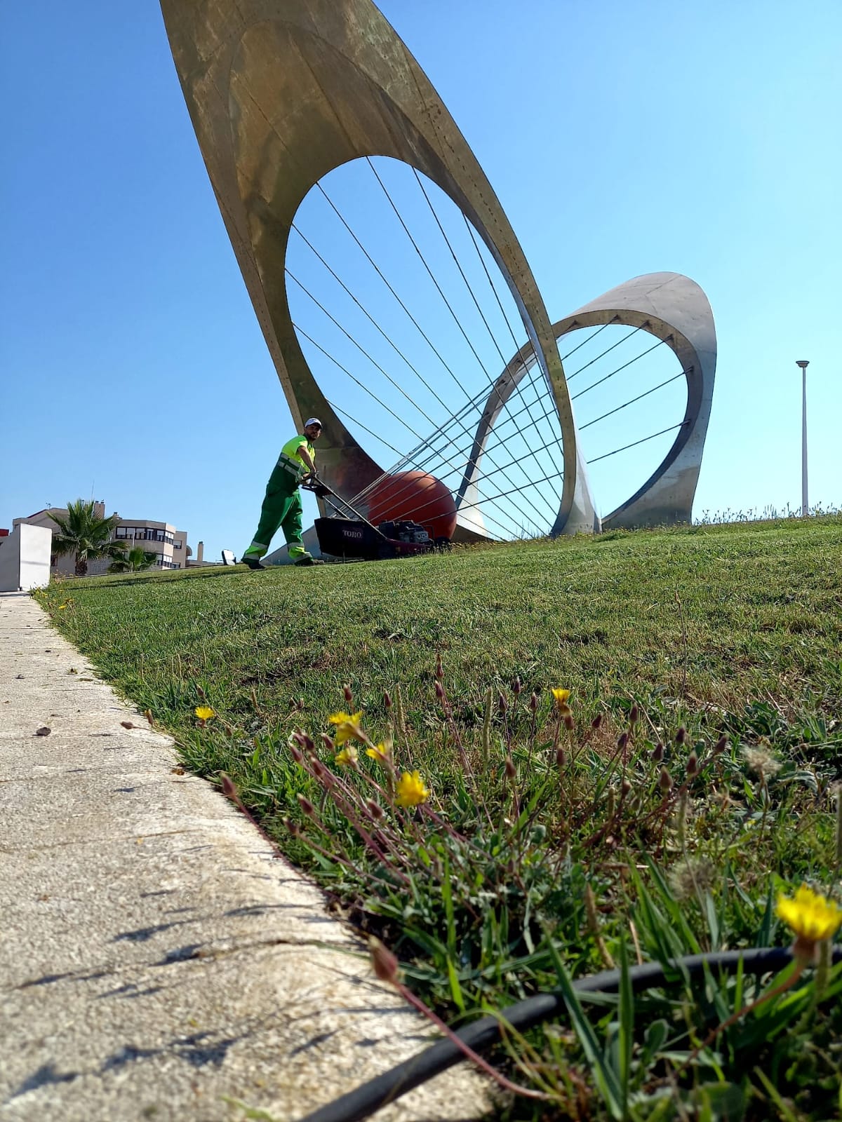 Parques y Jardines realiza actuaciones de mejora y adecentamiento de espacios ajardinados en distintos puntos de la ciudad