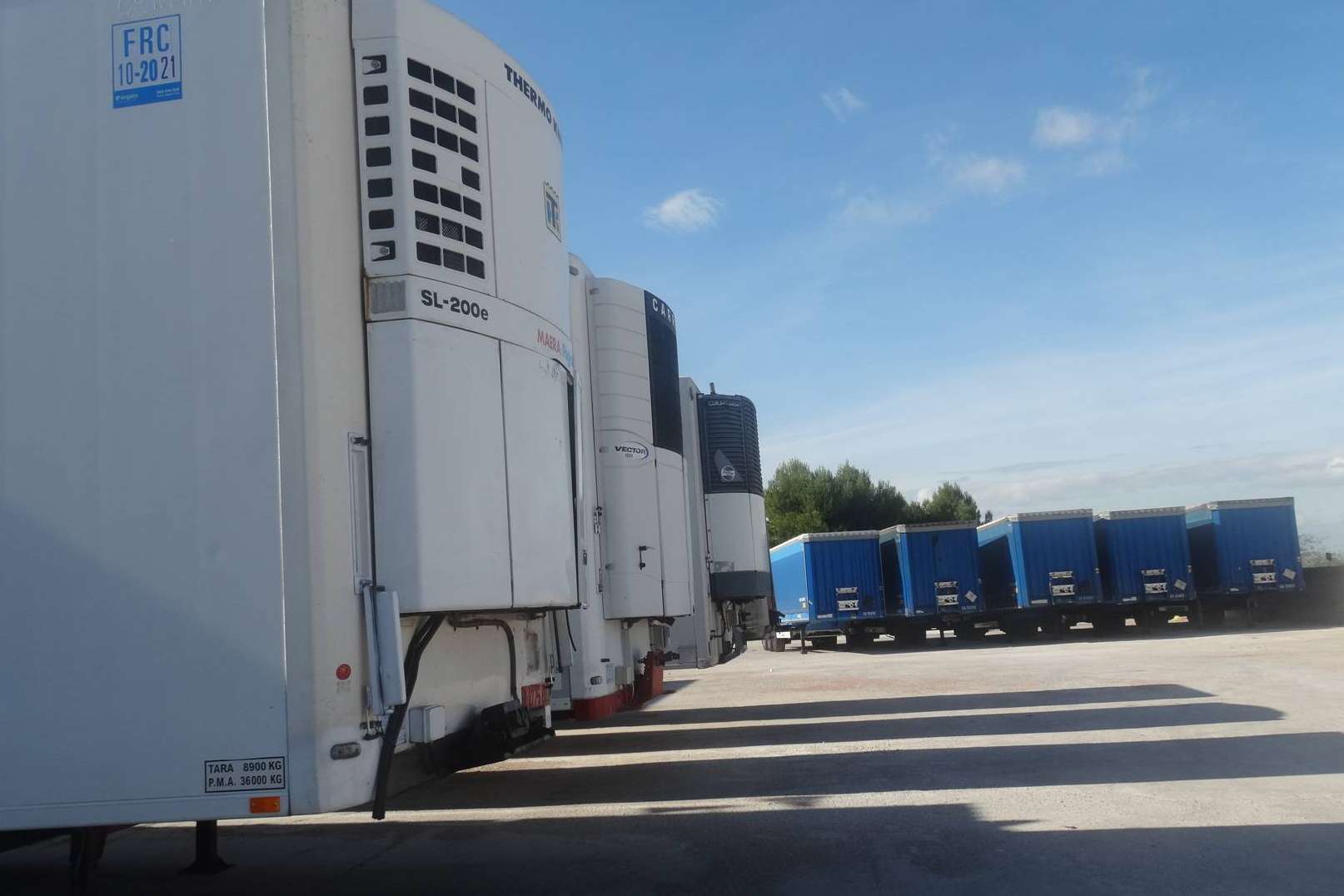 Alicotrans es una cooperativa de transporte diferente