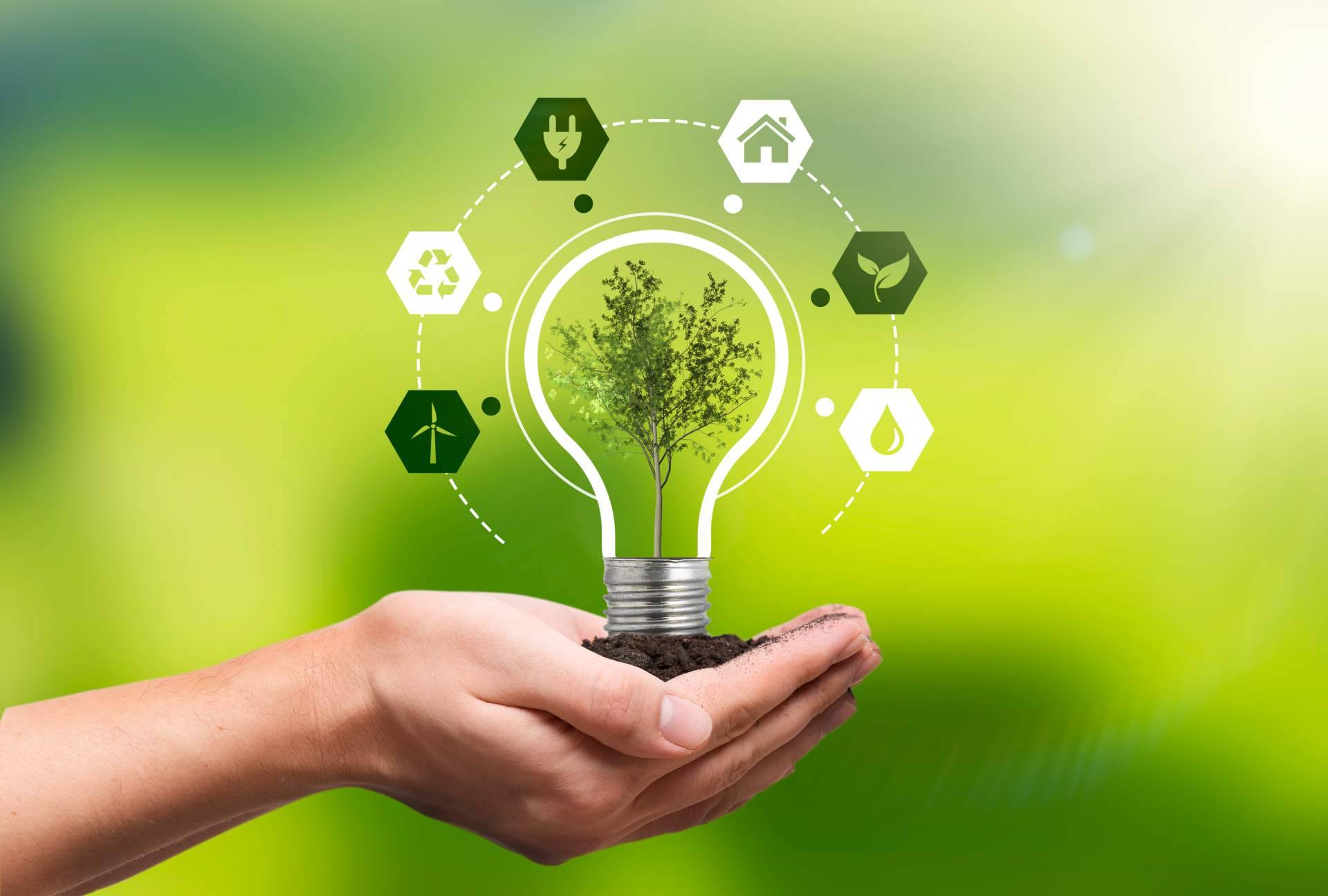 Consorcio Europeo de Avales explica la importancia de los seguros de caución para las empresas de energías renovables de hoy