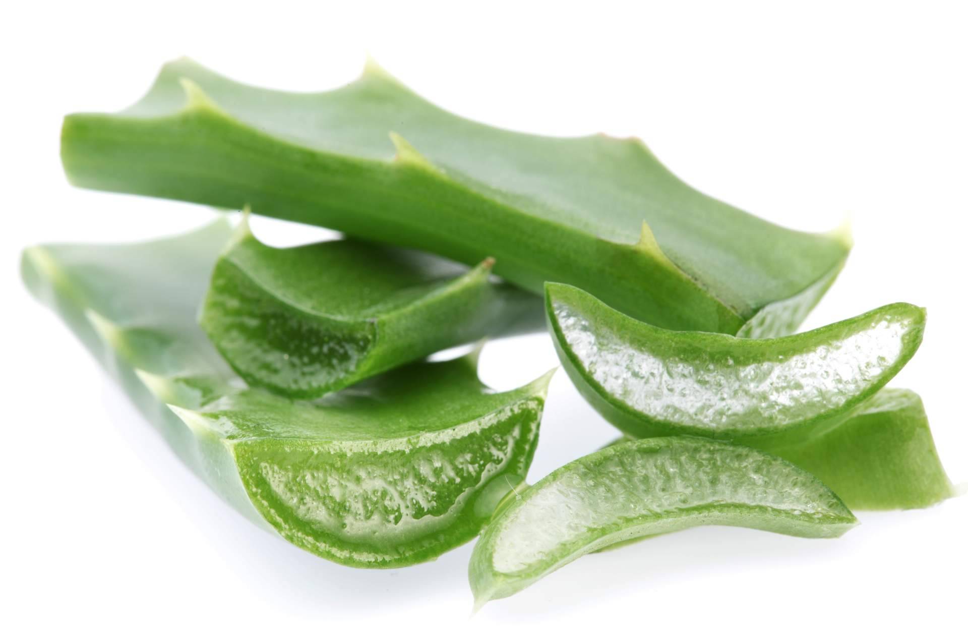 Una tienda online de cosmética natural especializada en el aloe vera, Cosmonatura