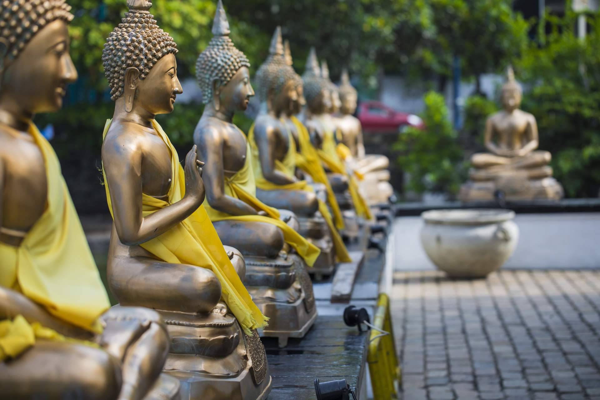 Sri Lanka Viajes Edén demuestra la hospitalidad en Sri Lanka en tiempos de crisis