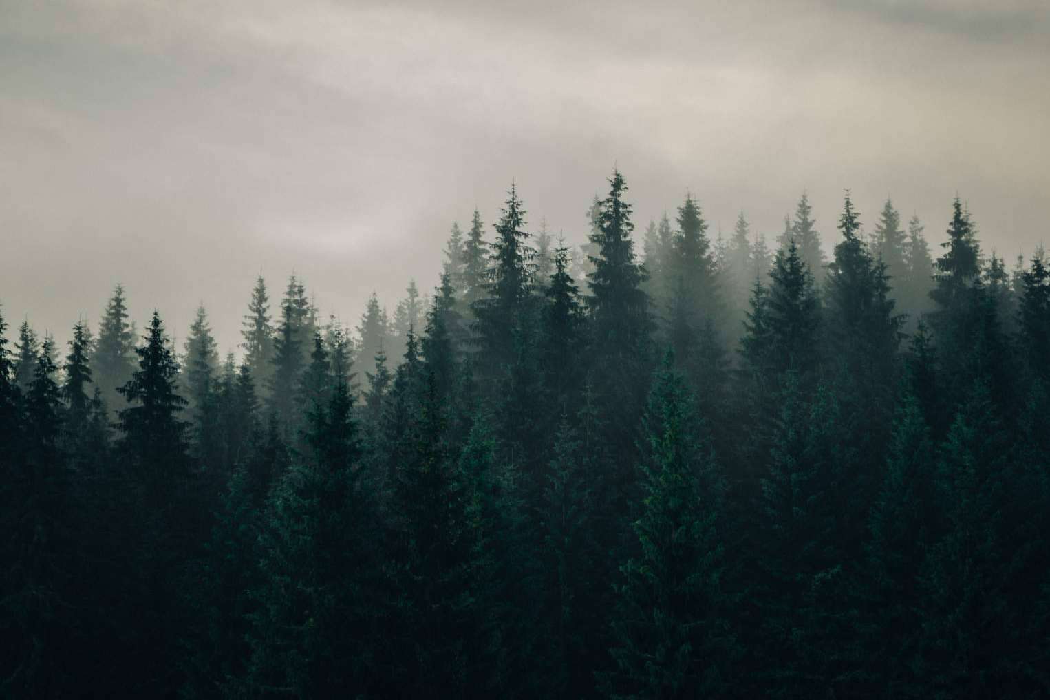 LOSMA STUDIO escoge Accoya® y Tricoya® para sus nuevos modelos de balcones y ventanas
