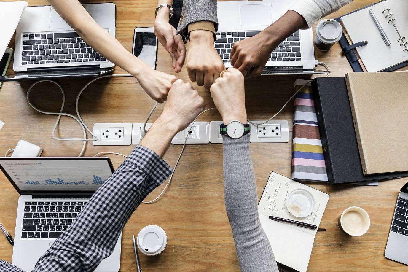ZEWS explica cómo puede el SEO beneficiar a una empresa