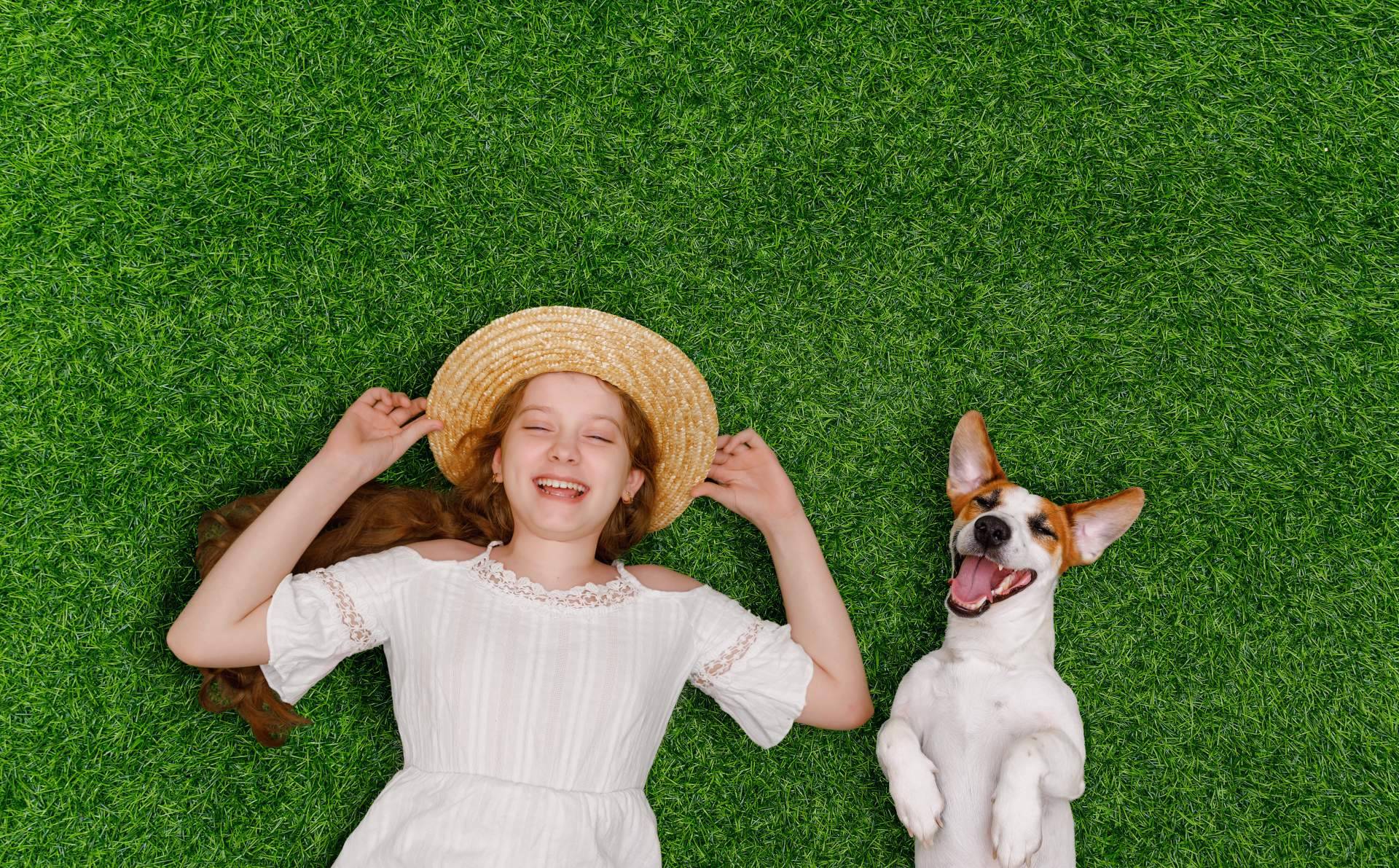 La empresa Real Grass dispone de césped artificial para mascotas
