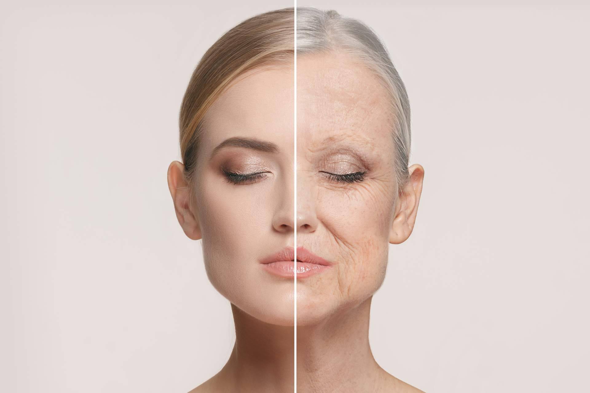 Terapias para la eliminación de las células senescentes, de la mano de COEUS Retroaging