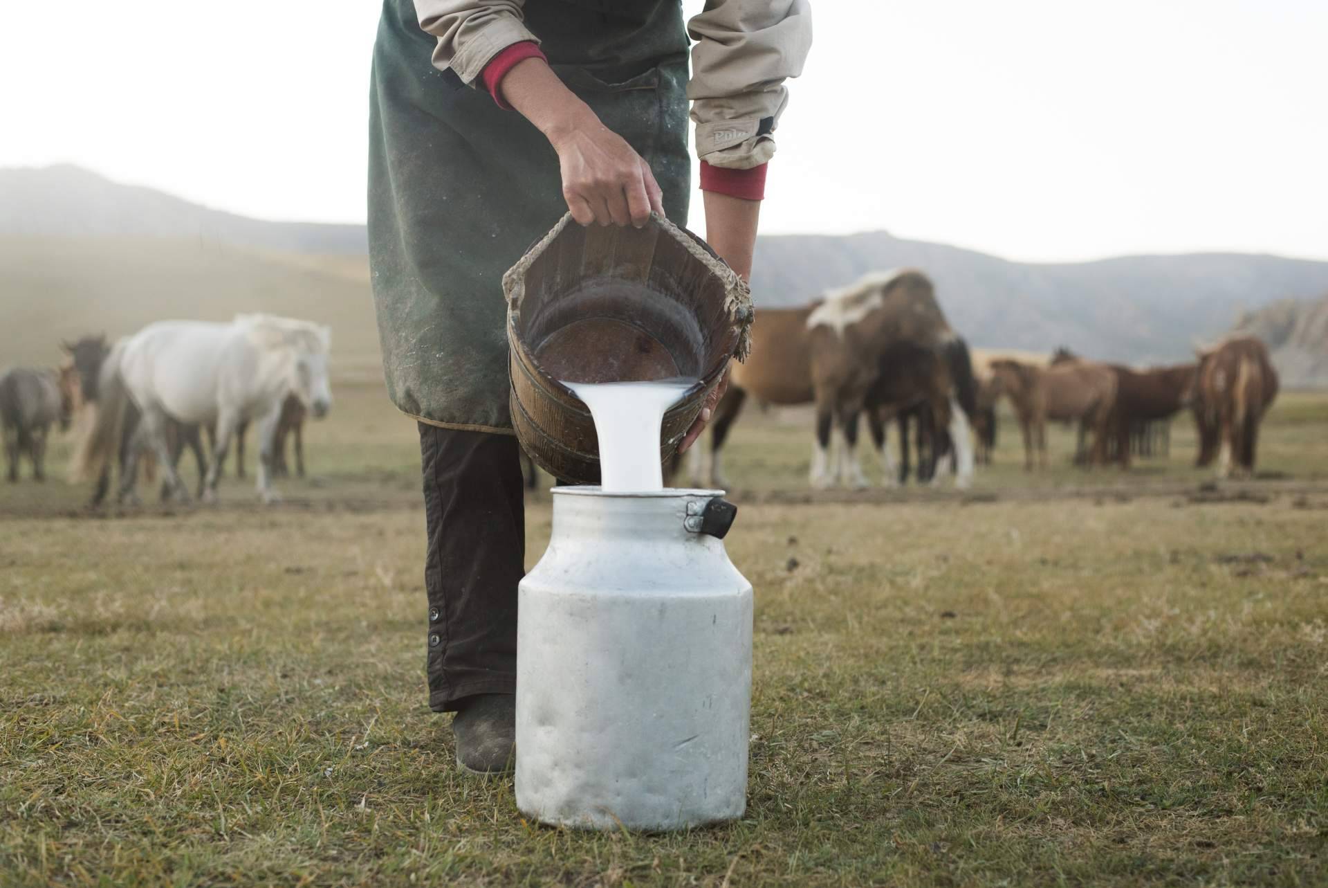 eQuaid presenta nuevas fórmulas que maximizan los beneficios de la leche de yegua