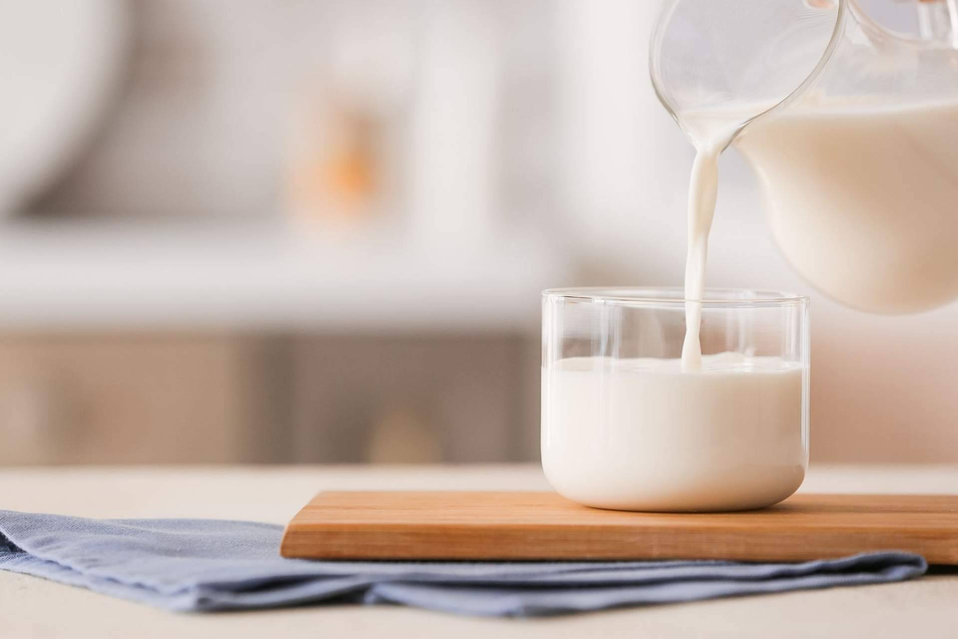 eQuaid Research y los principales beneficios de la leche de yegua de calidad