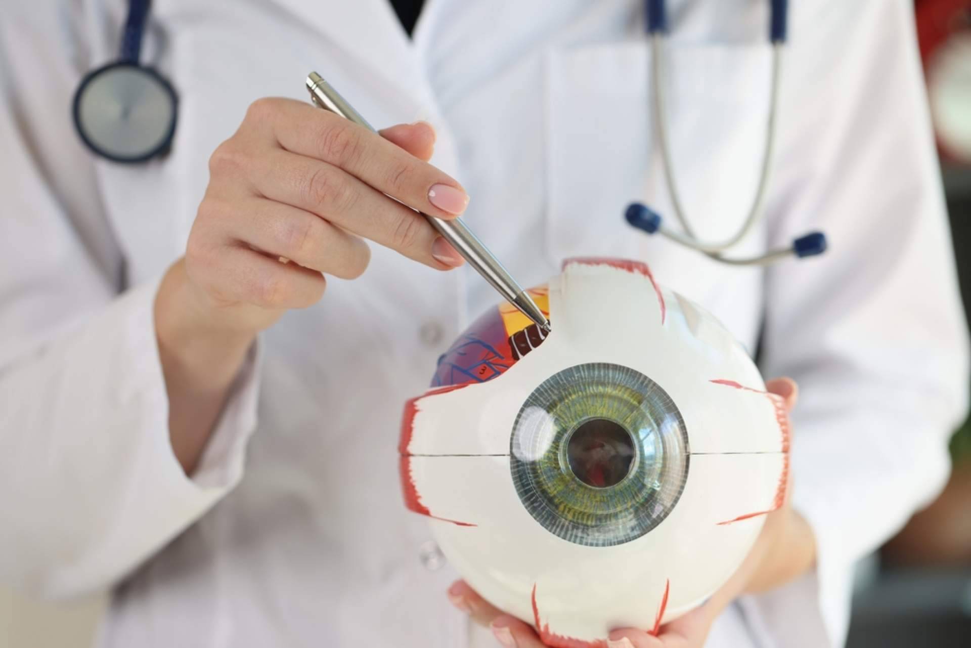 El problema de moscas volantes, tratado en el Departamento de Oftalmología del Hospital Universitario Dexeus