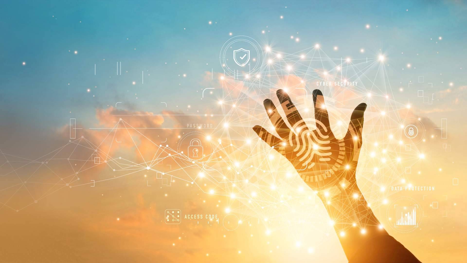 Protección de datos en la red con el informe de huella digital de Codaprot