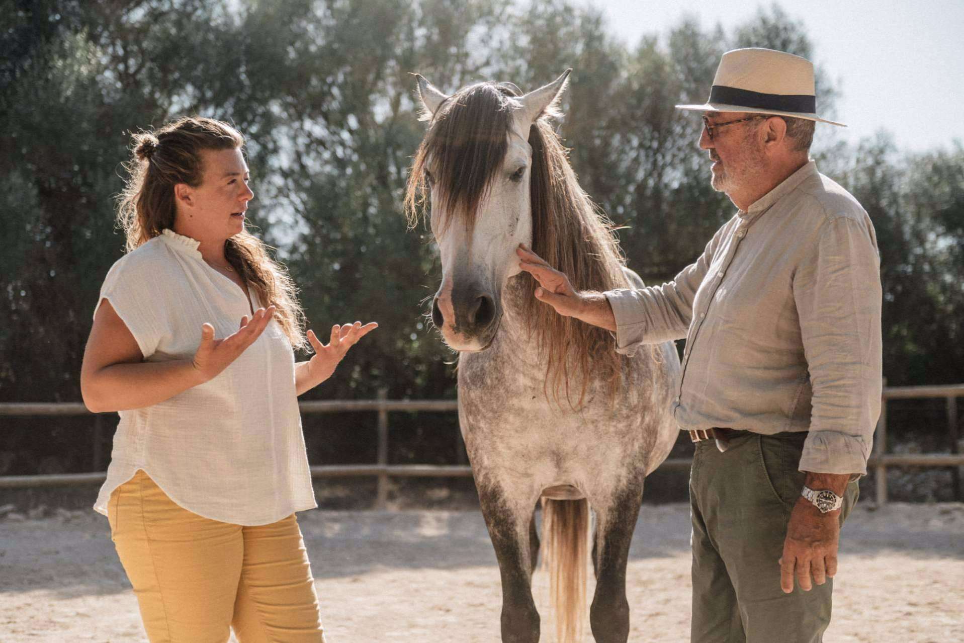 Aprender a comunicar a través de coaching asistido por caballos