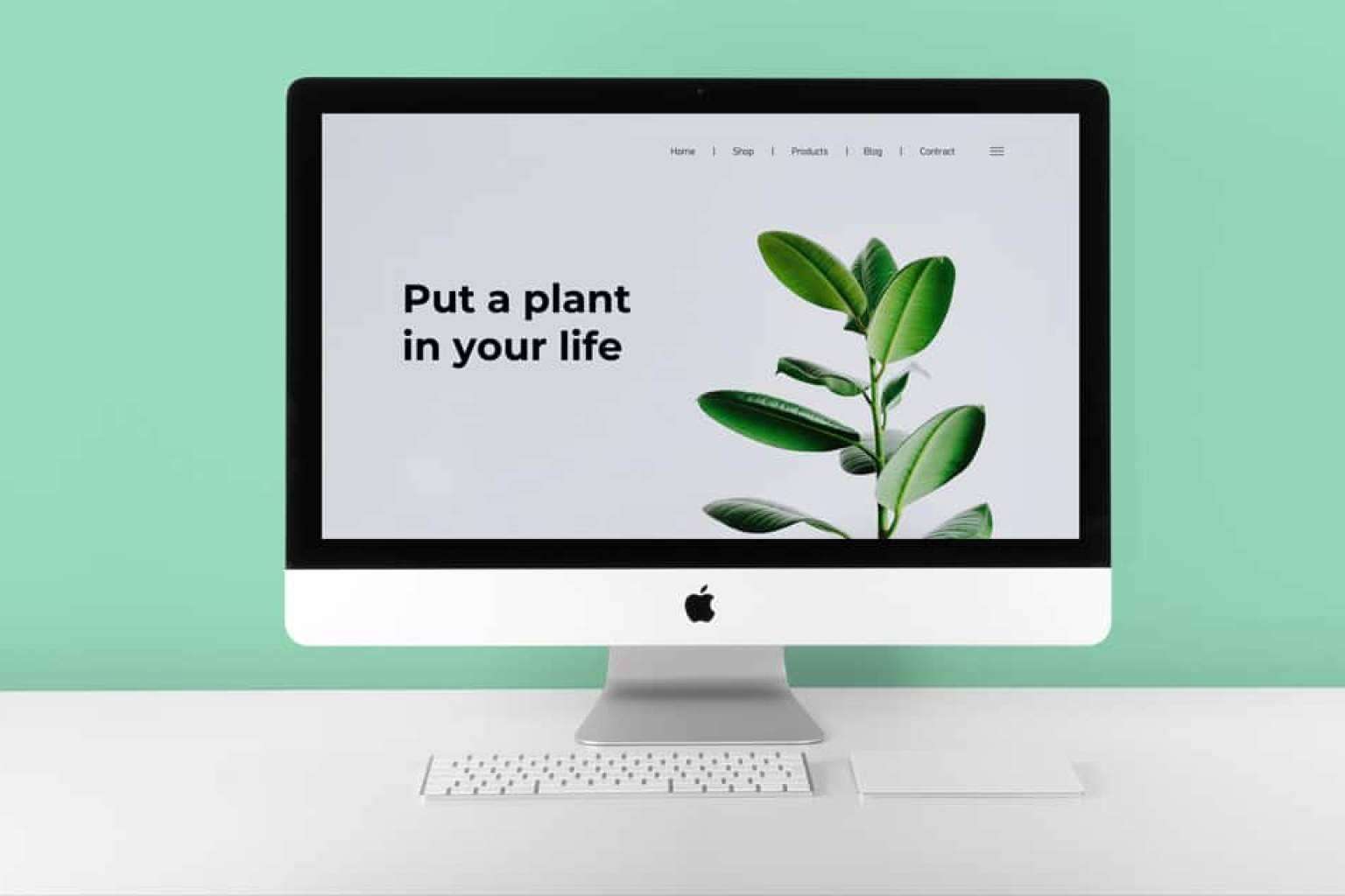La empresa de diseño web Freshfish.es crea una plataforma de mockups gratuitos