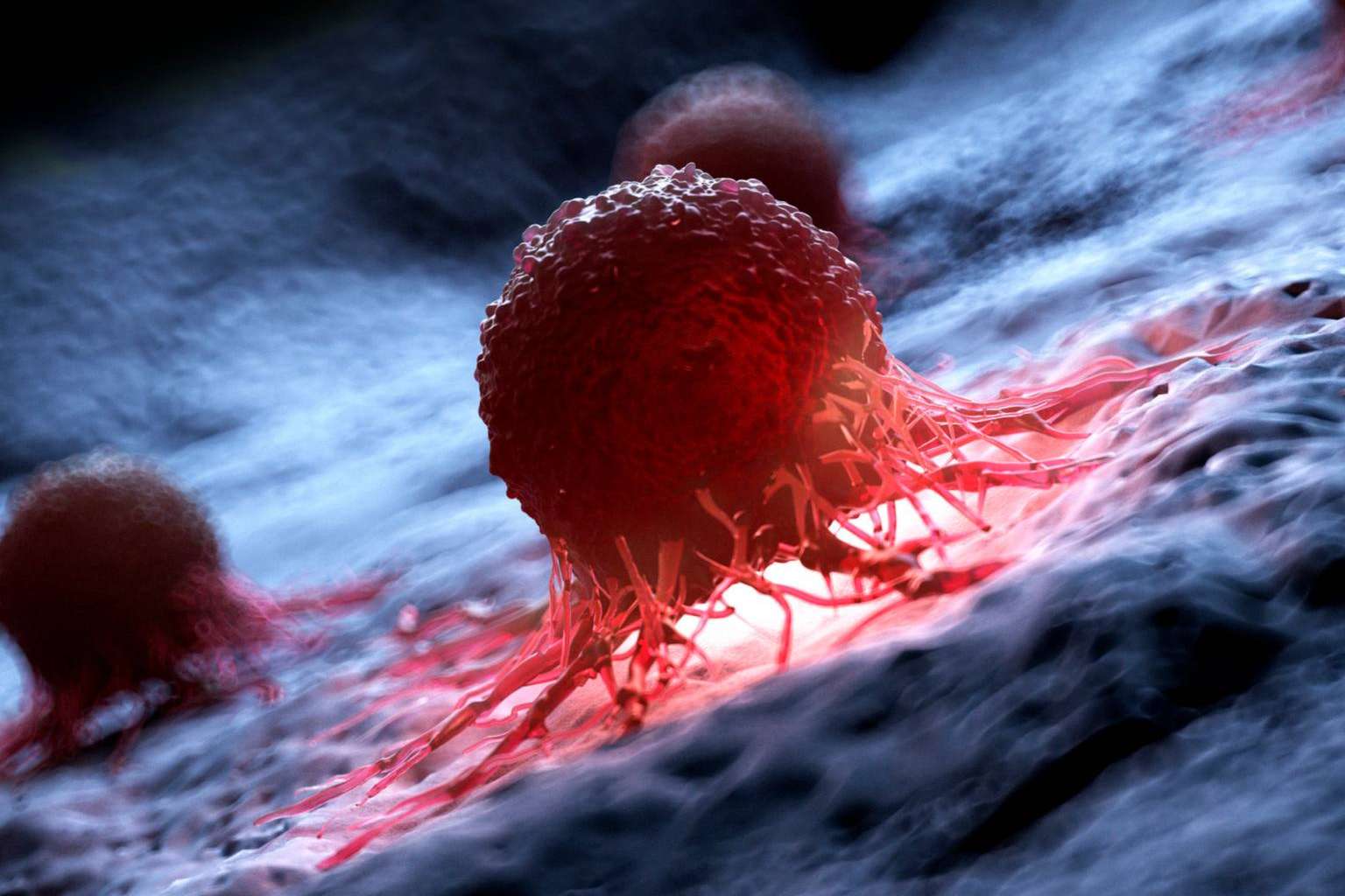 Reprogramación FicuVIR; transformando vidas y abordando el origen del cáncer