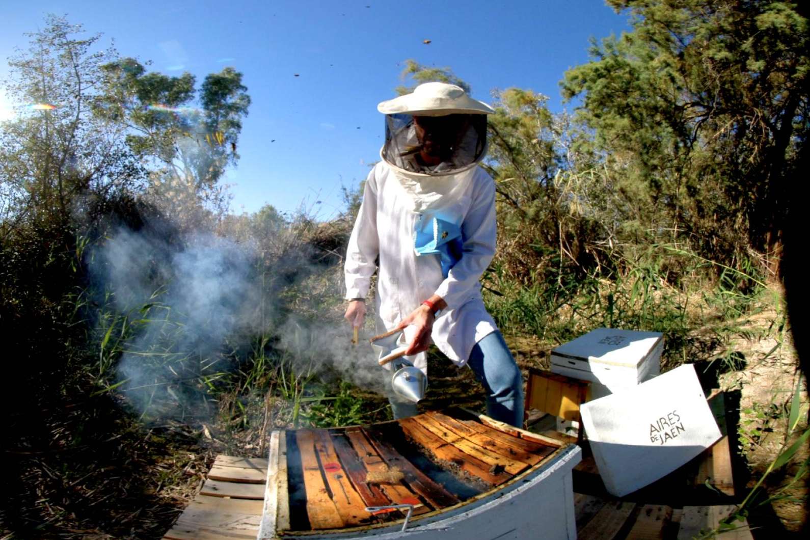 La propuesta con realidad aumentada de Aires de Jaén permite descubrir el mundo del aceite de oliva