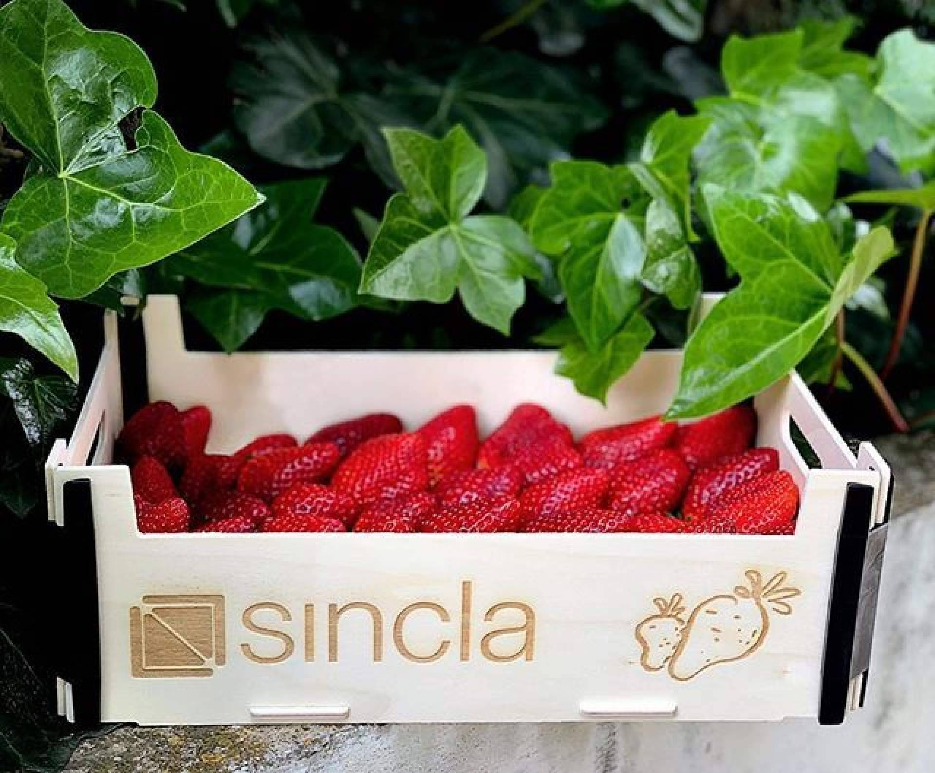 Diseño y calidad en las cajas de madera para fruta y verdura de Sincla