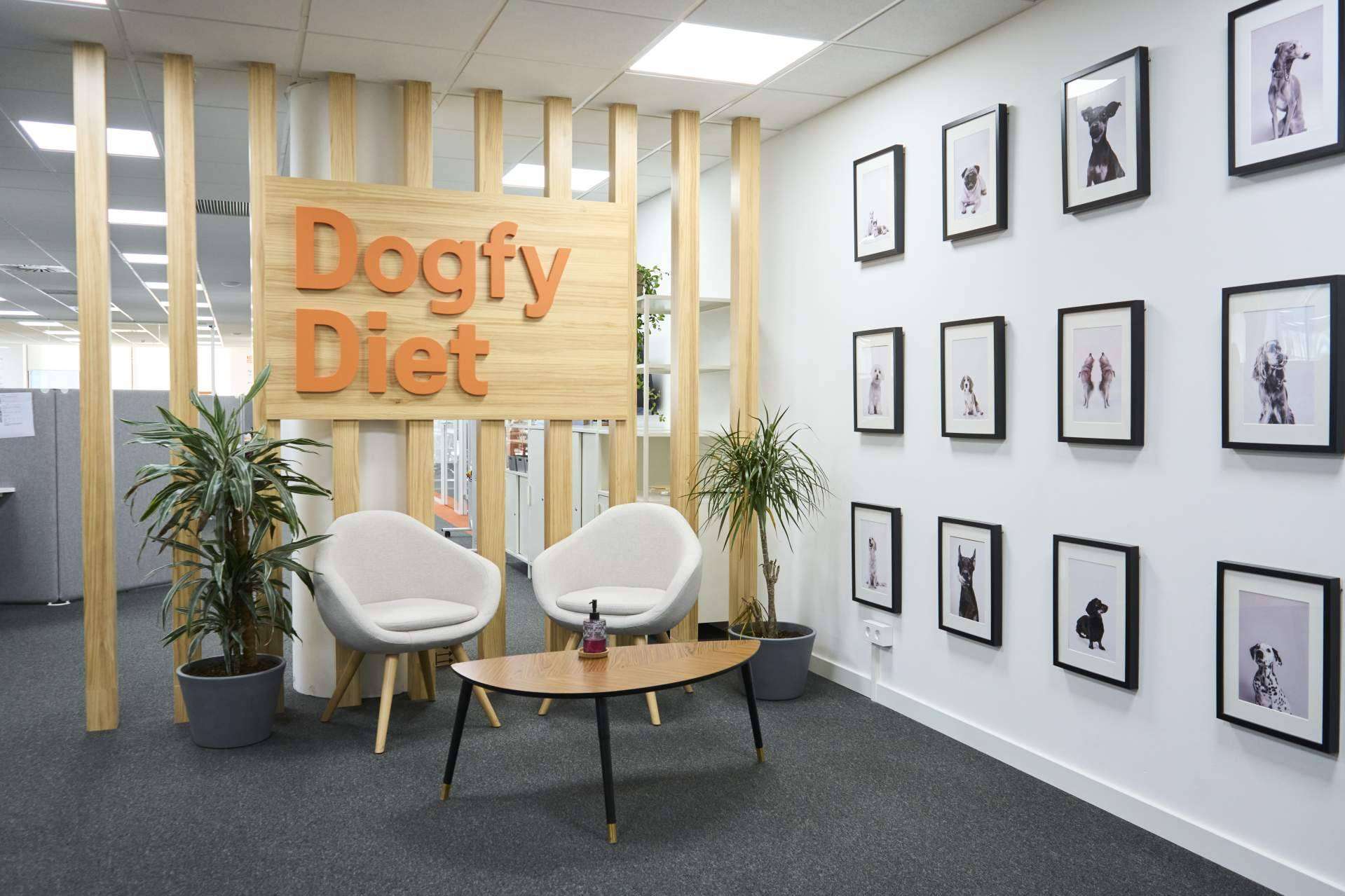 3 aspectos sobre Dogfy Diet que explican su éxito en el mercado de la comida casera para perros