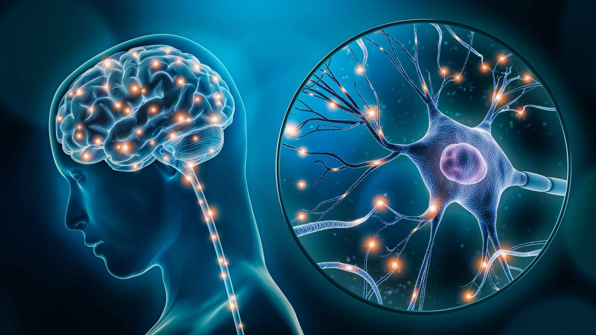 INIMA Rehabilitación propone actividades estimulantes para pacientes que padecen una enfermedad neurodegenerativa