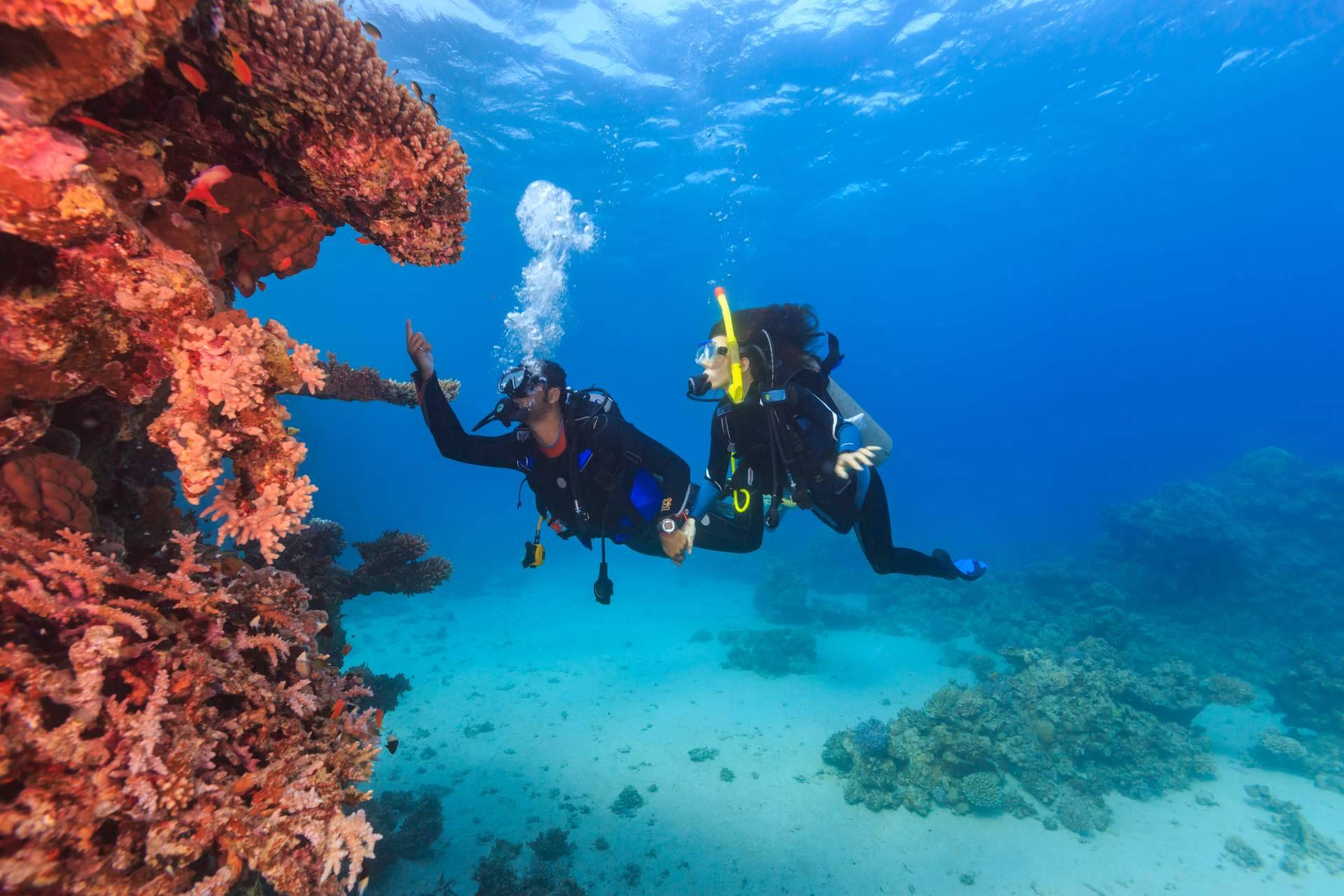 Curso instructor de buceo PADI, con la dirección de Miguel Coll