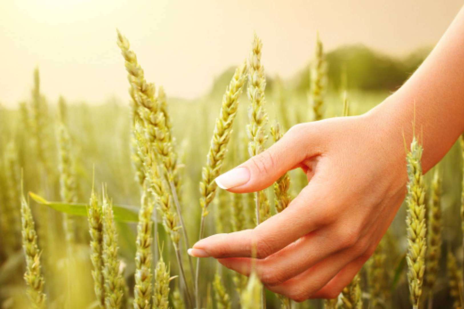 Vida Natural, más de 40 años trabajando con la marca Robis
