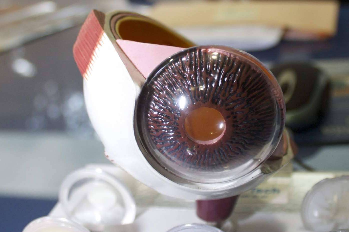 Serum de pestañas Gleam Lashes, una solución para abrir y realzar la mirada recomendado por expertos